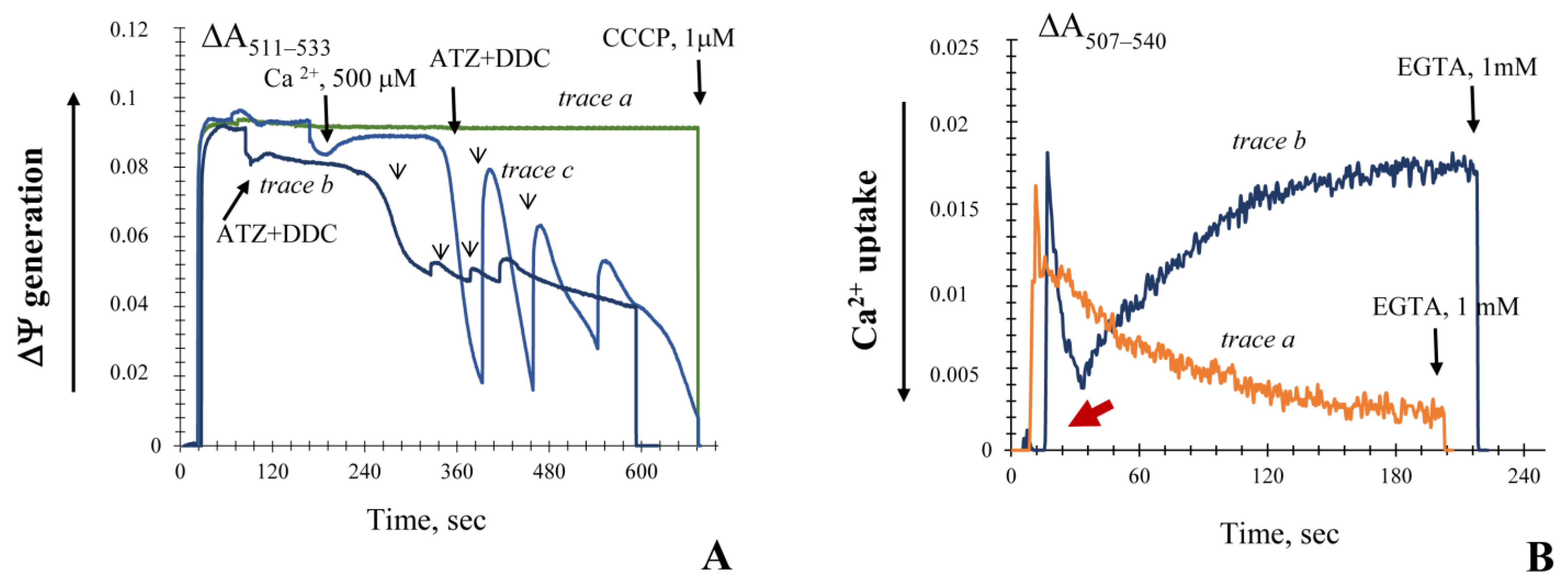 Microbiolres 12 00029 g001a