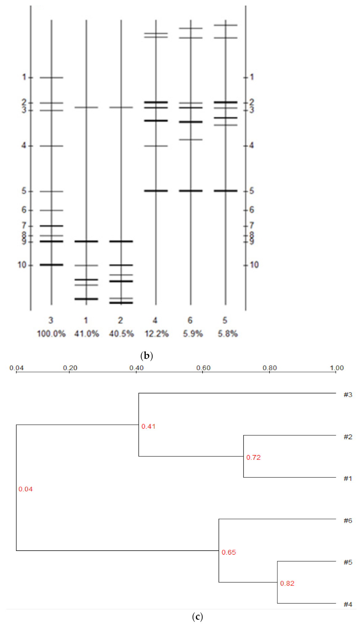 Microbiolres 13 00005 g004b Microbiolres 13 00005 g004b
