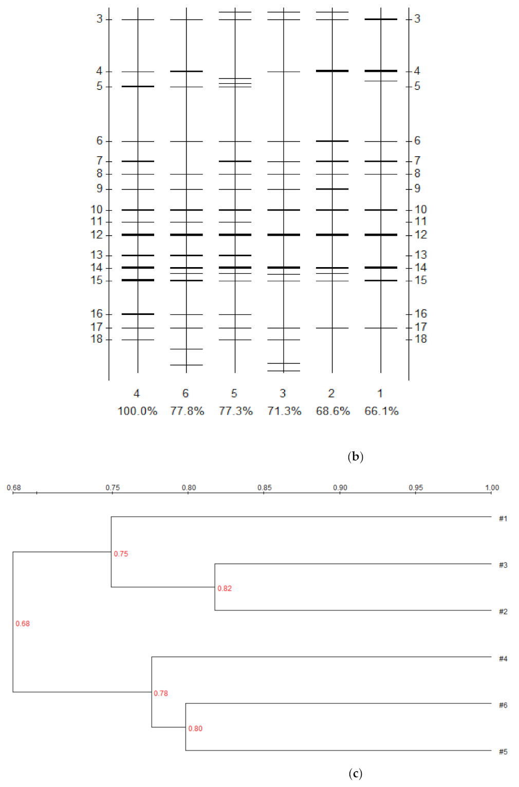 Microbiolres 13 00005 g006b Microbiolres 13 00005 g006b