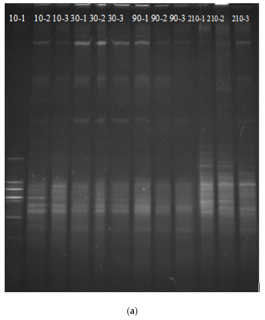 Microbiolres 13 00005 g007a Microbiolres 13 00005 g007a