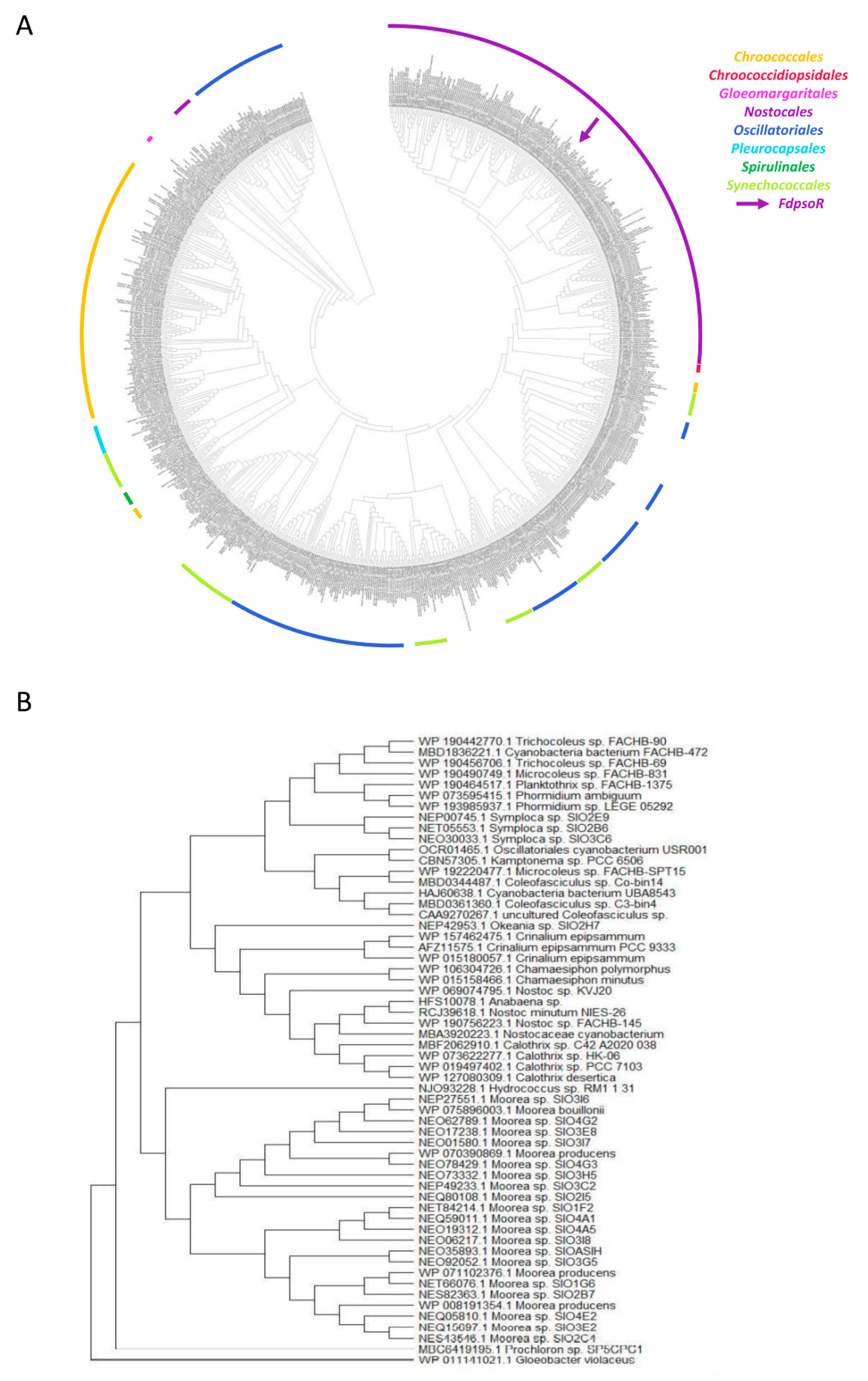 Microbiolres 13 00014 g004