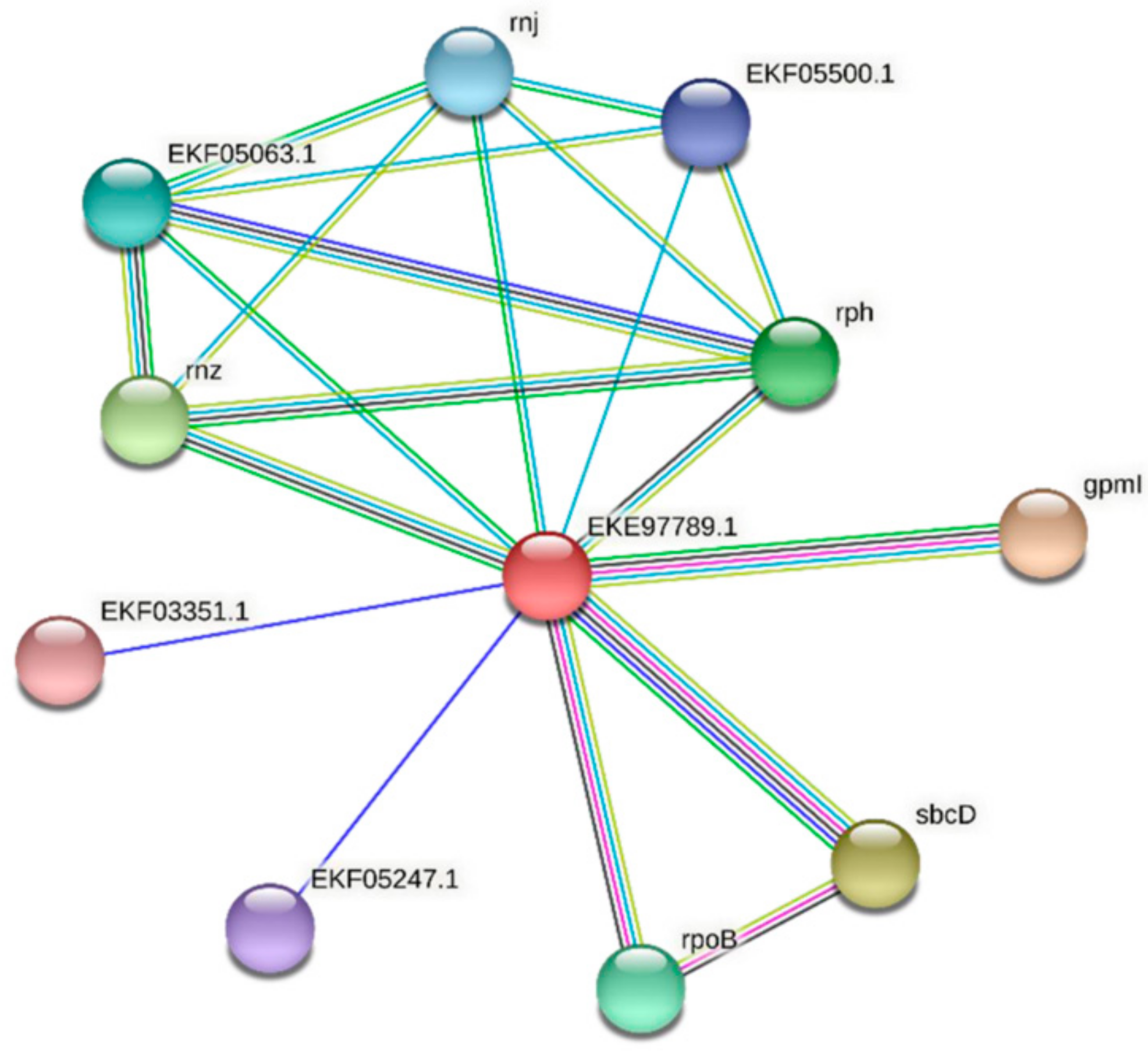 Microbiolres 13 00014 g006