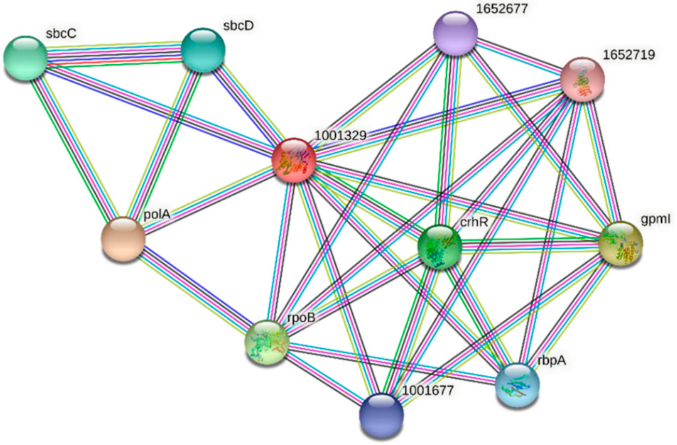 Microbiolres 13 00014 g007