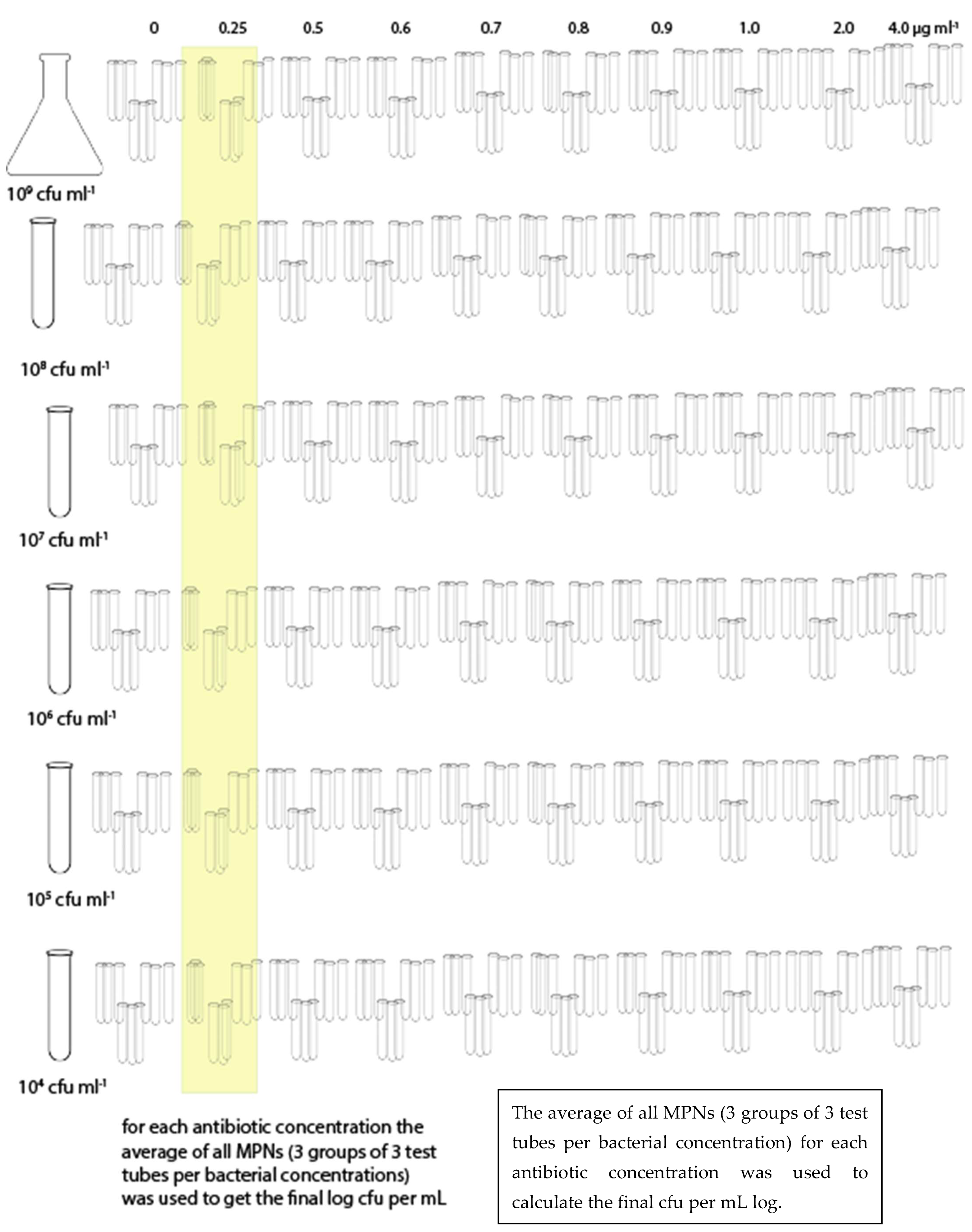 Microbiolres 13 00026 g001 Microbiolres 13 00026 g001