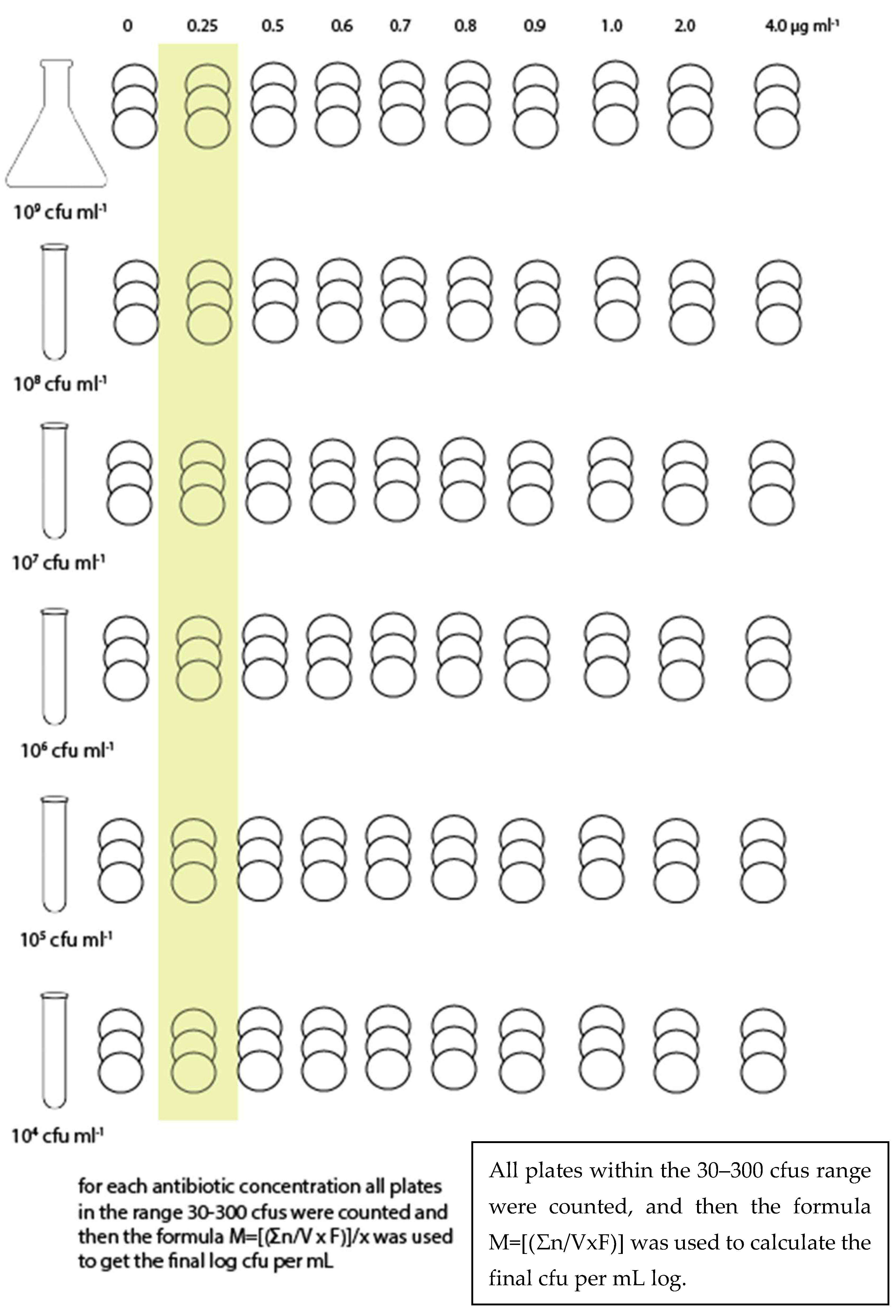 Microbiolres 13 00026 g002 Microbiolres 13 00026 g002