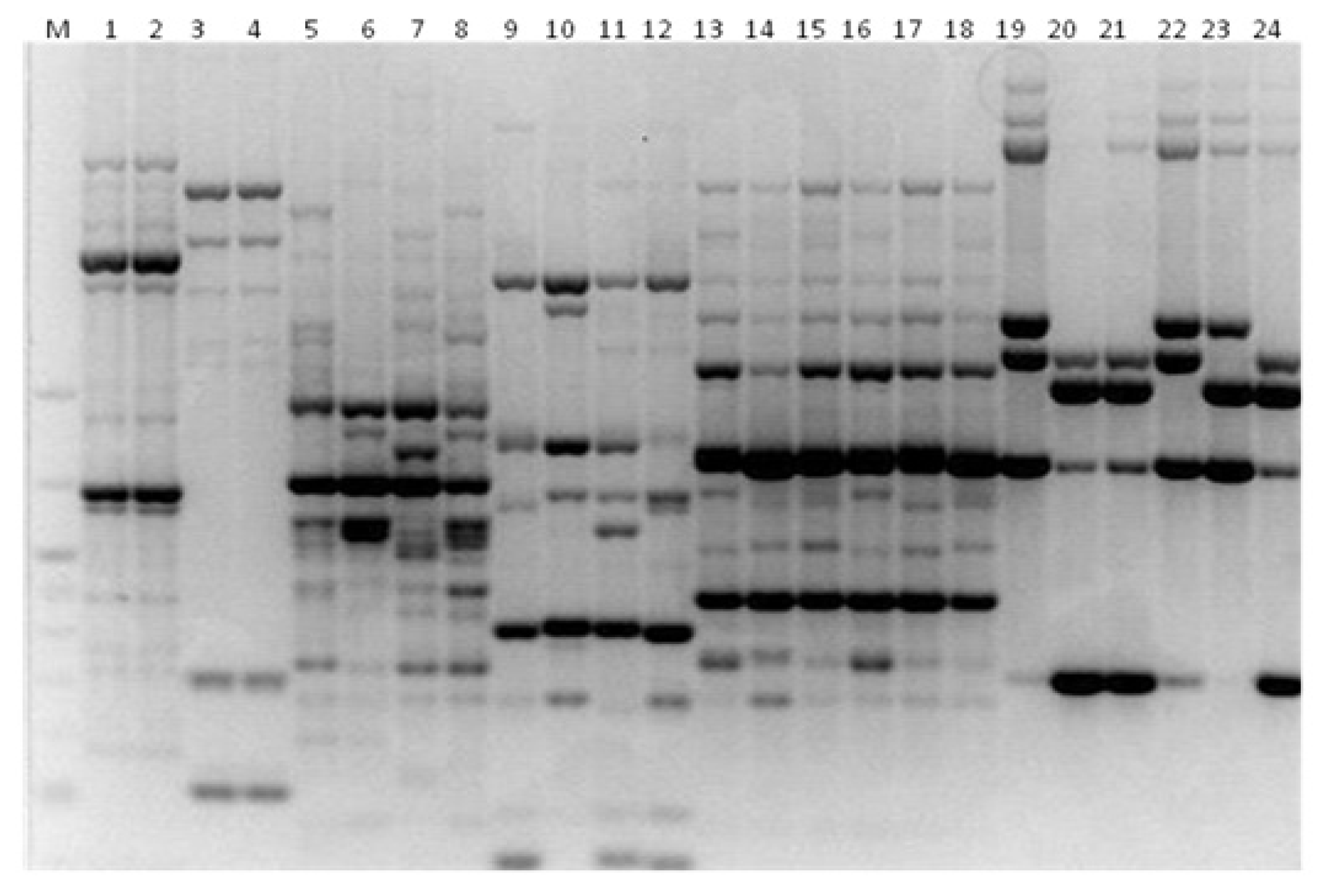 Microbiolres 13 00046 g002