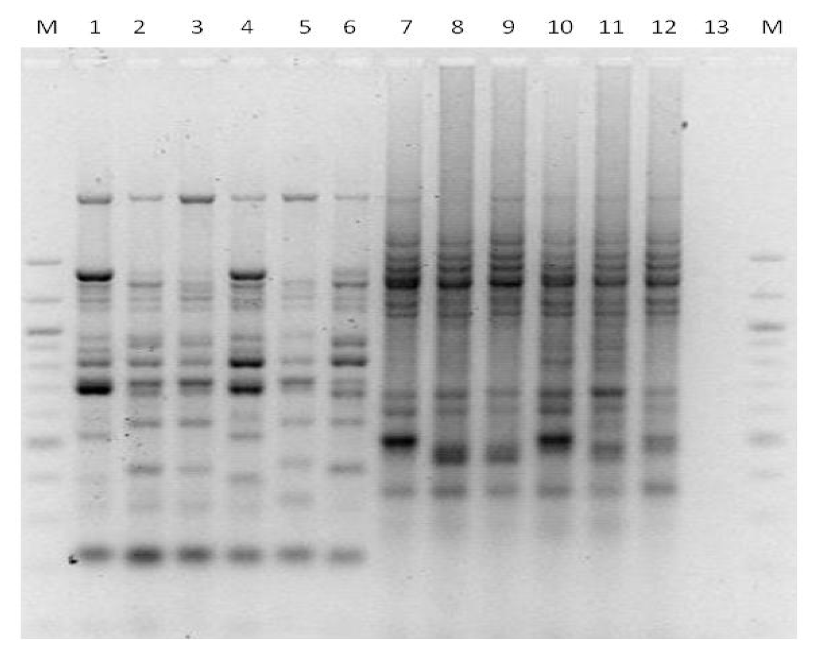Microbiolres 13 00046 g003