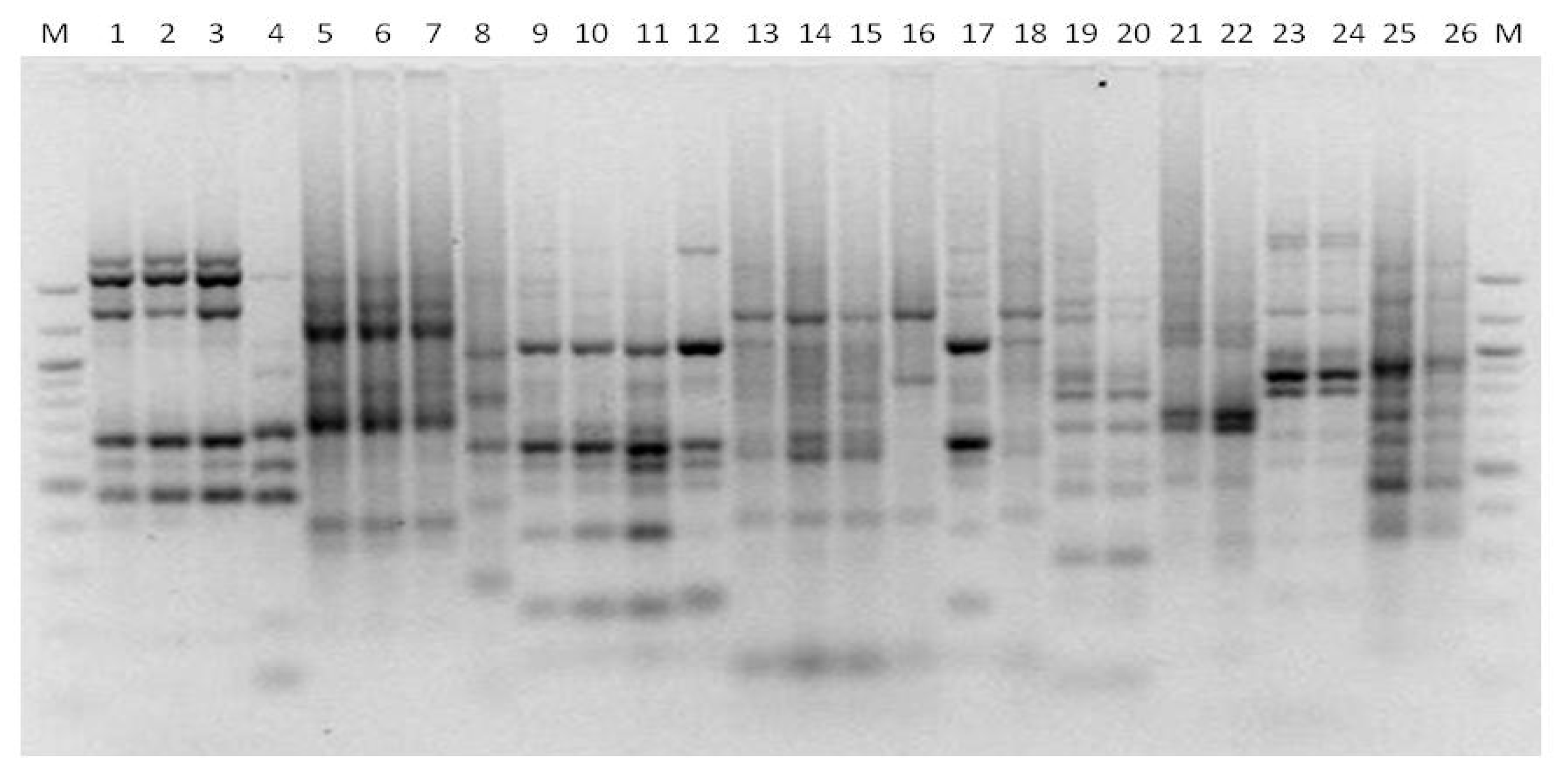 Microbiolres 13 00046 g004