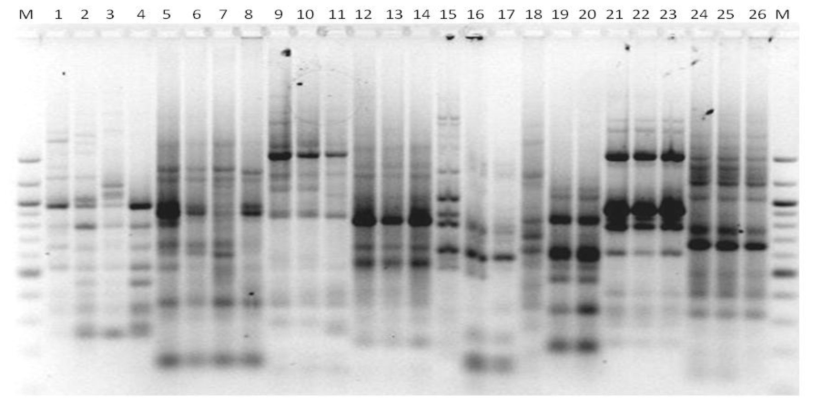 Microbiolres 13 00046 g006