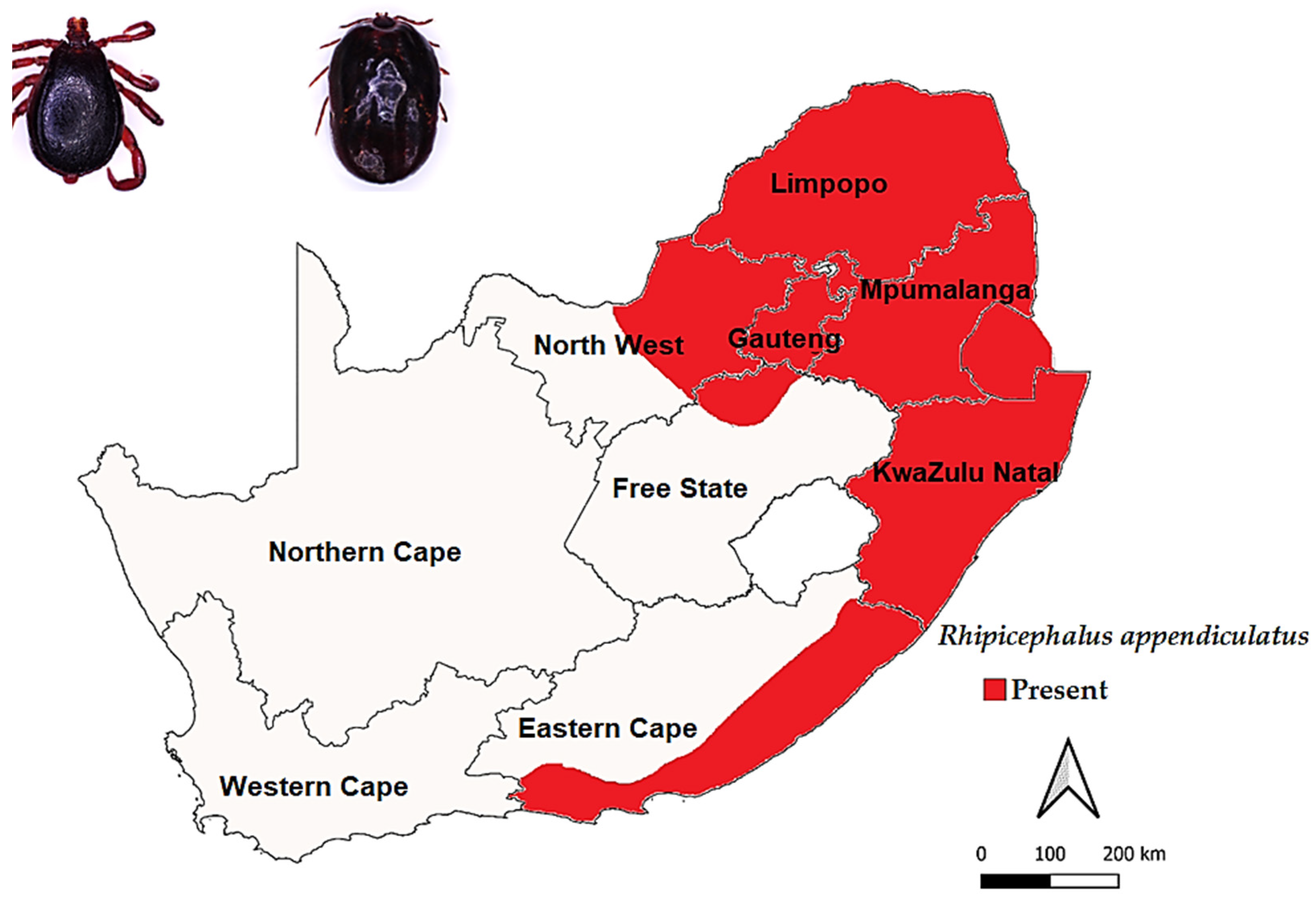 Chapter 1: Introduction & Background - Coast KZN