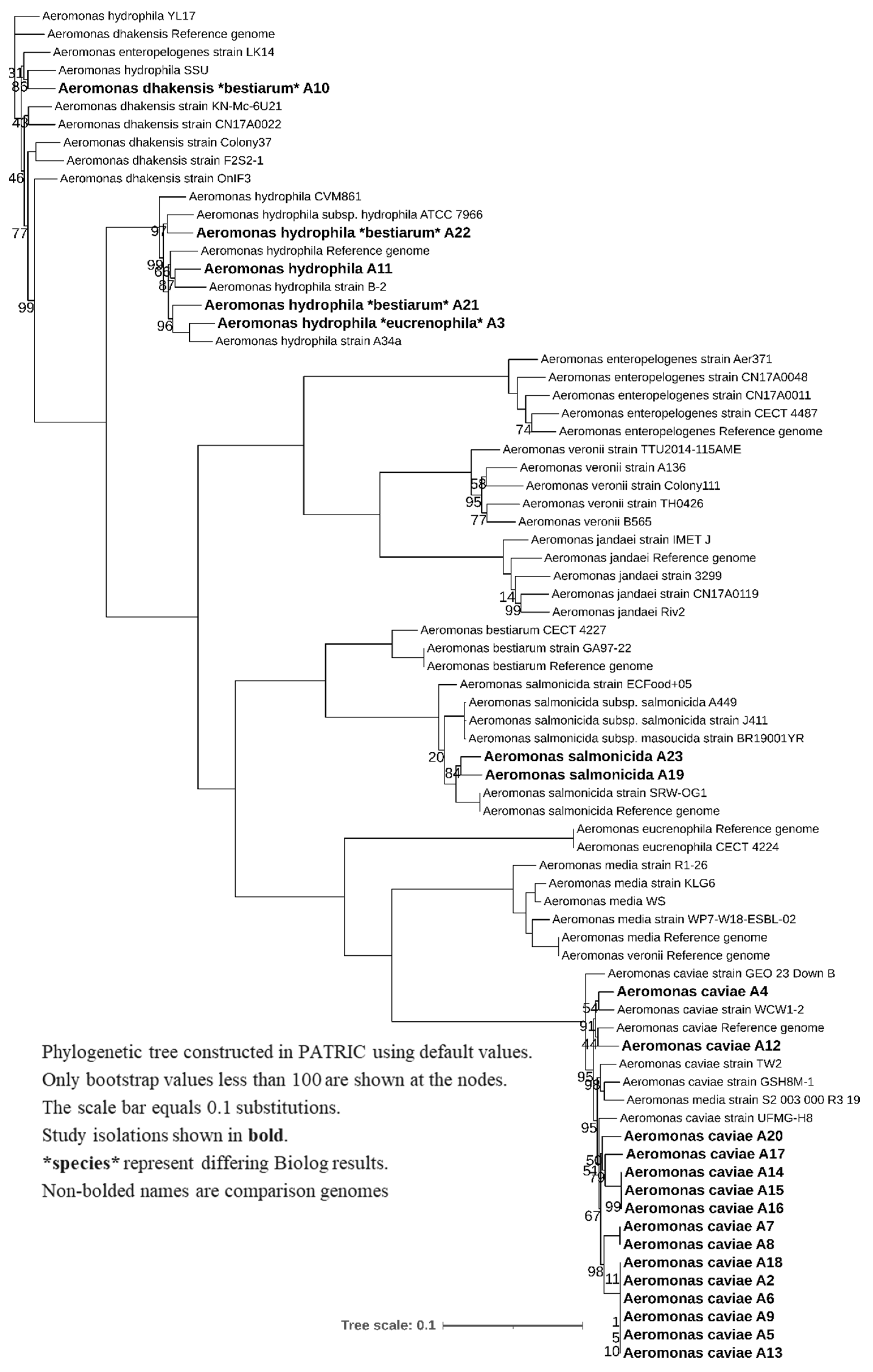 Microbiolres 14 00014 g003
