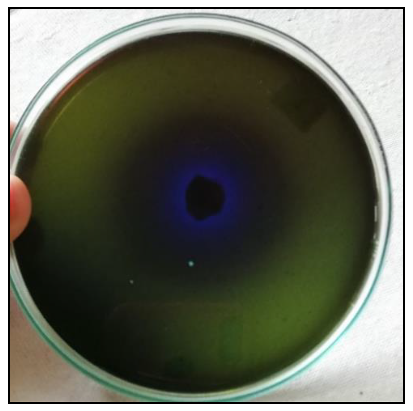 Microbiolres 14 00066 g001 Microbiolres 14 00066 g001