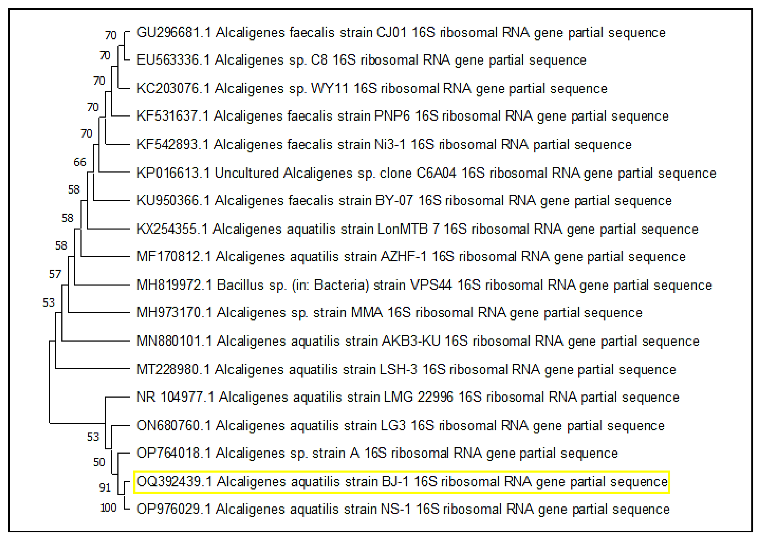 Microbiolres 14 00066 g002 Microbiolres 14 00066 g002