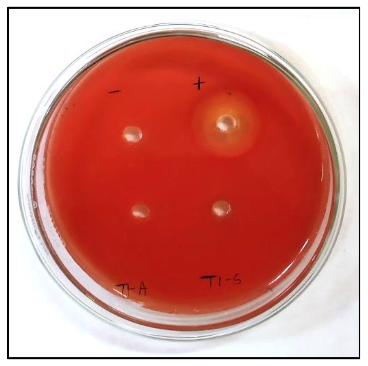 Microbiolres 14 00066 g009 Microbiolres 14 00066 g009