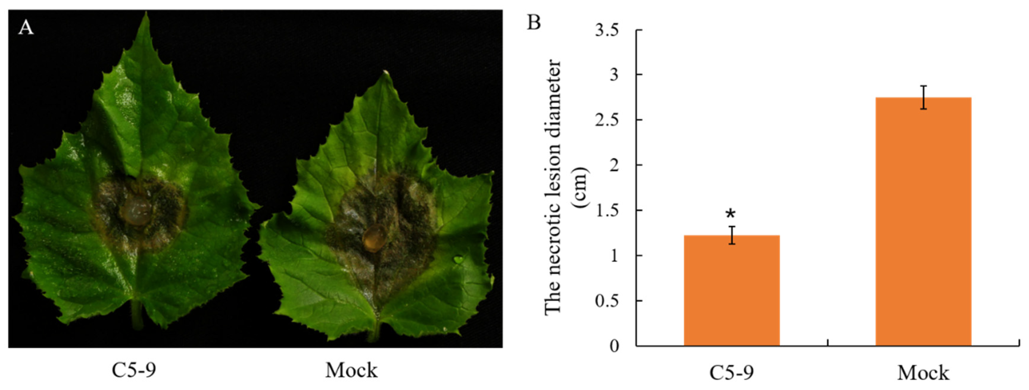 Microbiolres 14 00067 g004