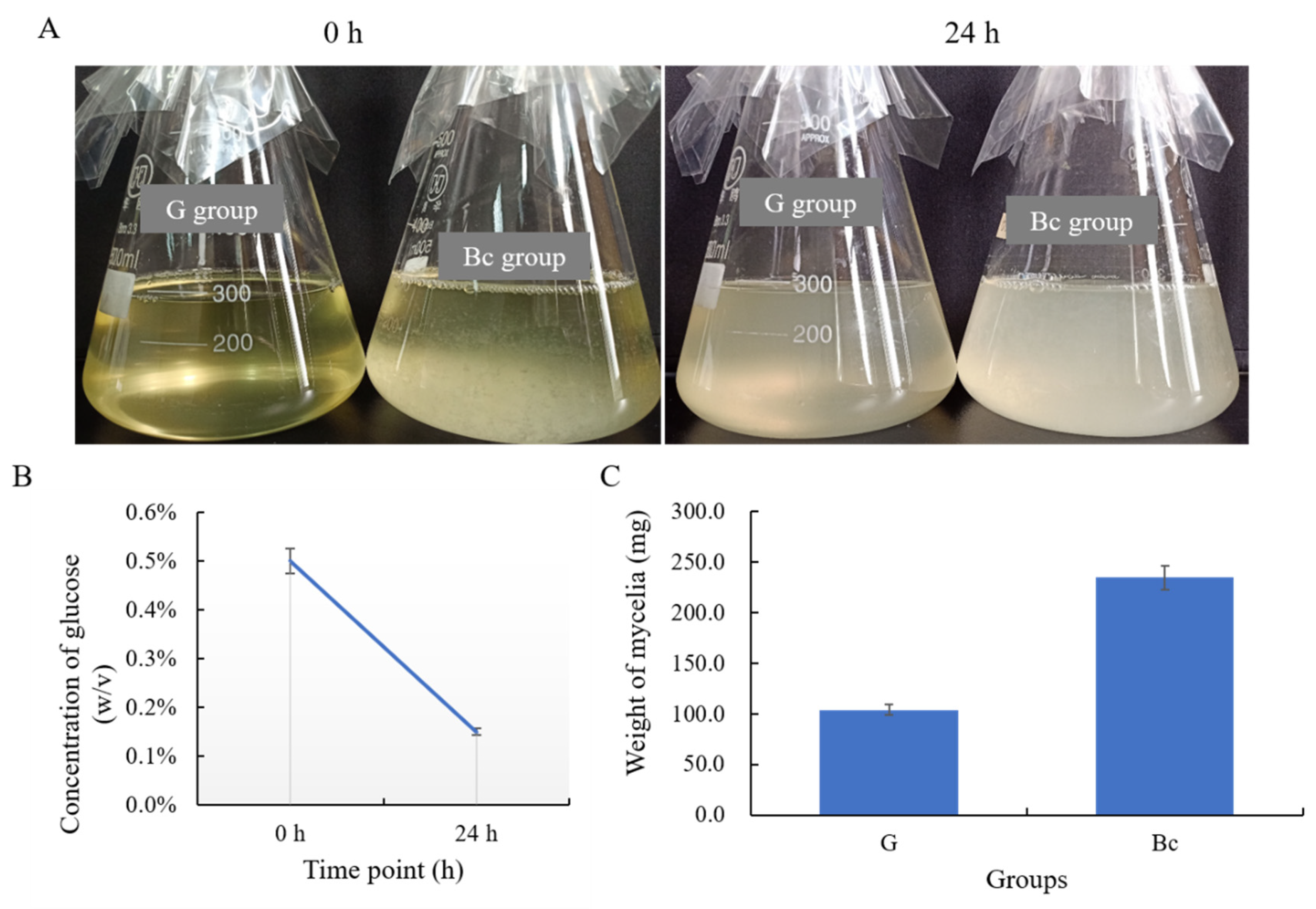 Microbiolres 14 00067 g005