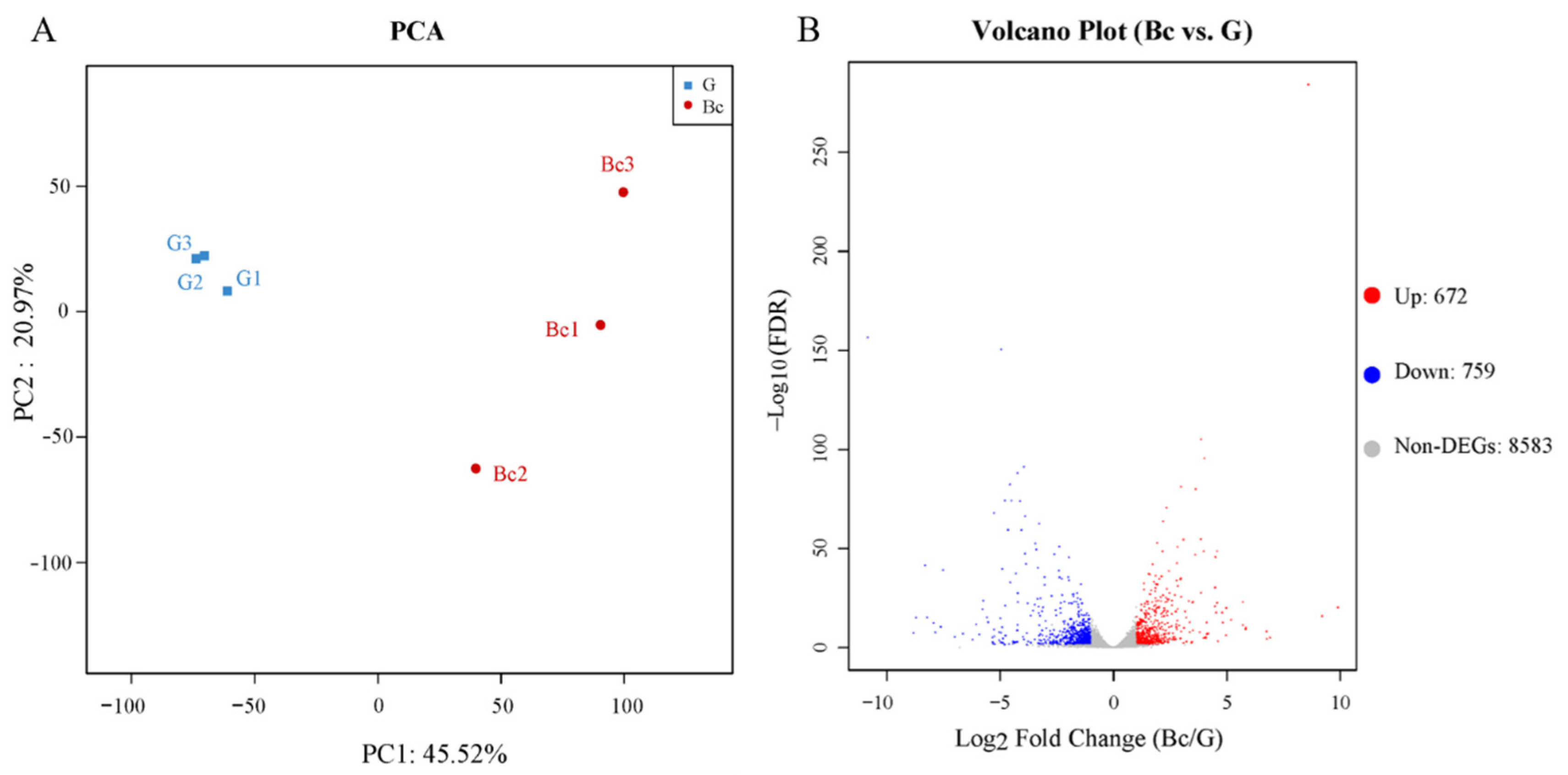 Microbiolres 14 00067 g006