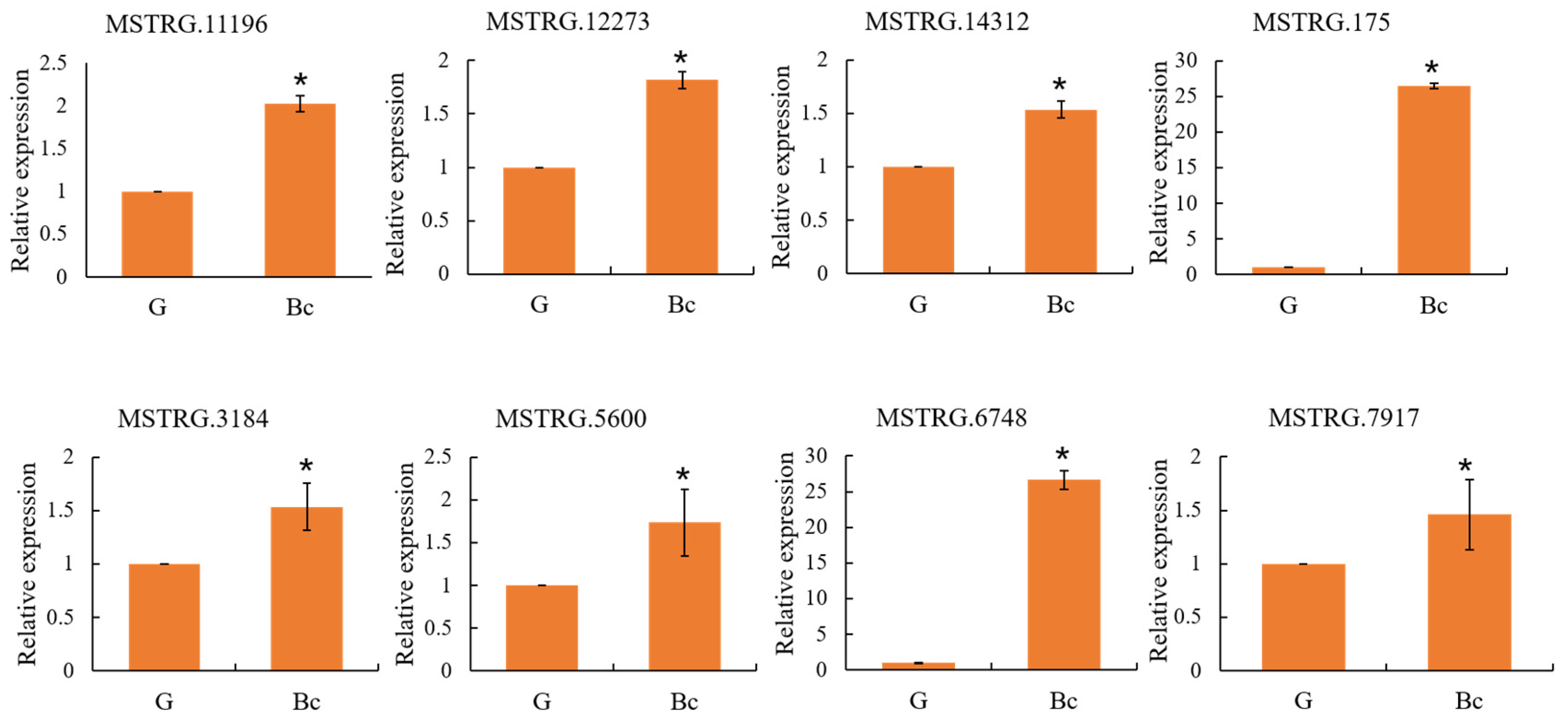 Microbiolres 14 00067 g008