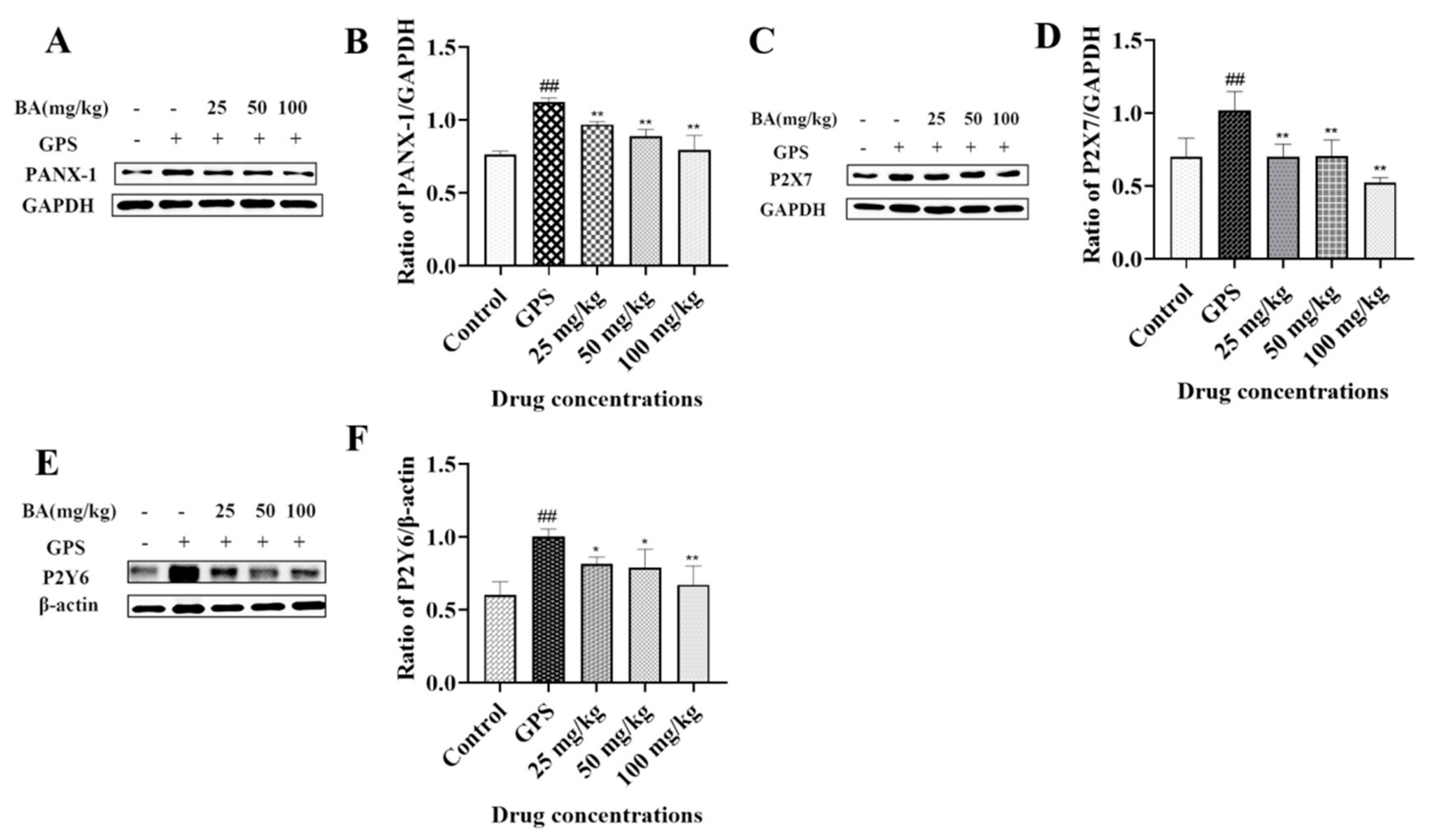 Microbiolres 14 00074 g001
