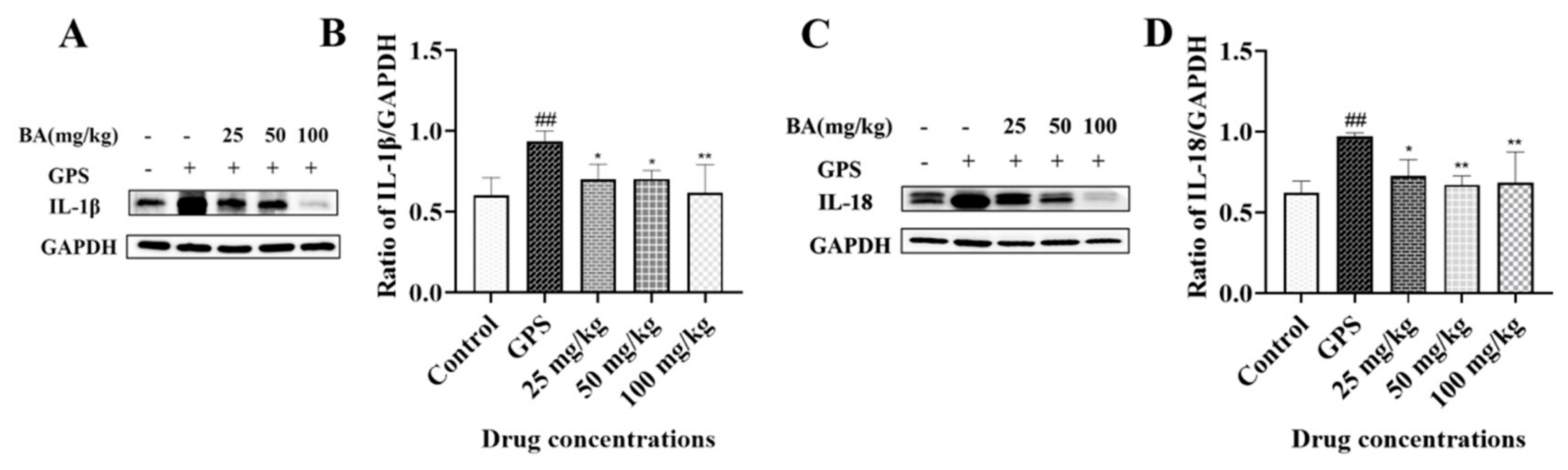 Microbiolres 14 00074 g003