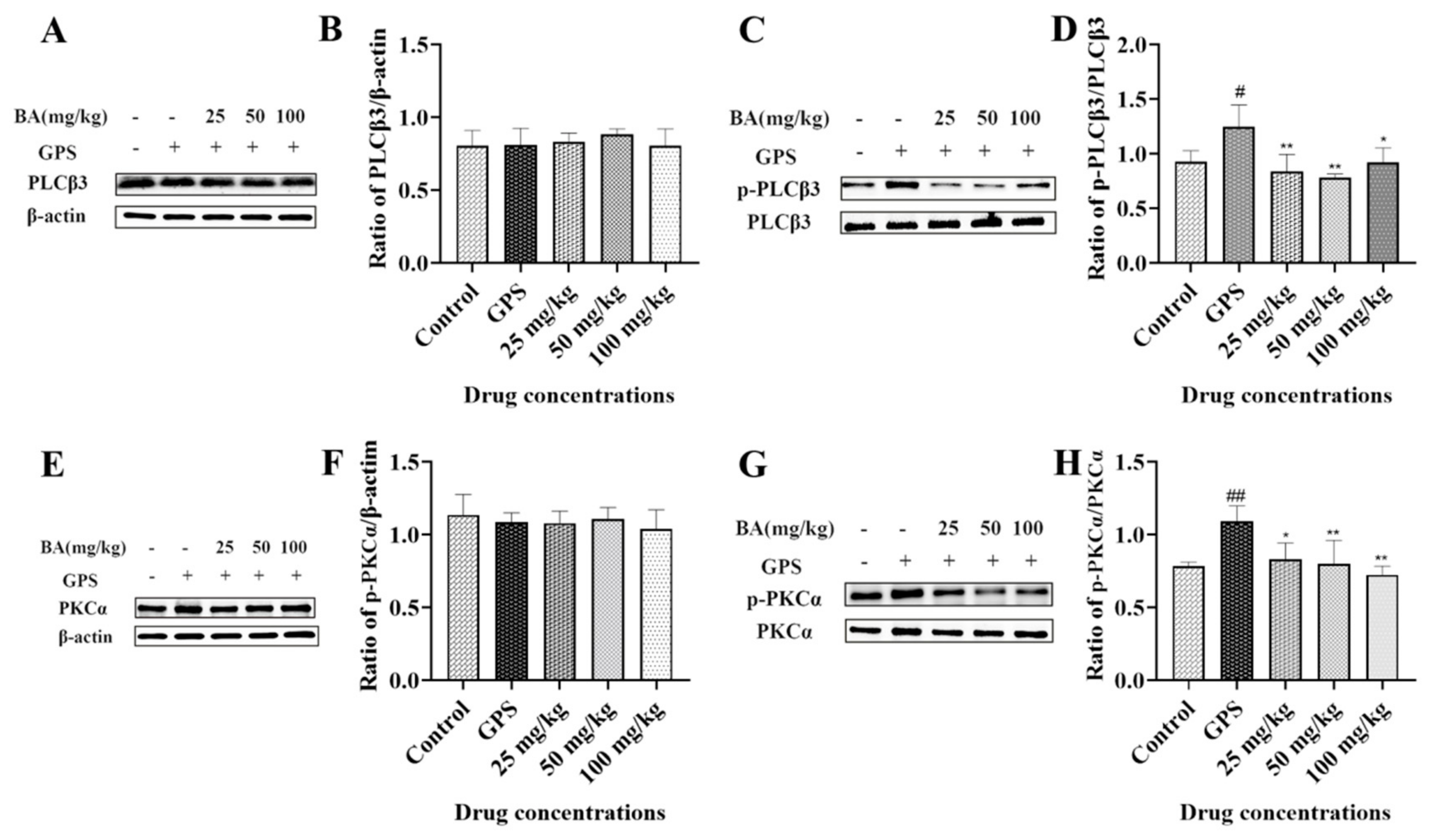 Microbiolres 14 00074 g004