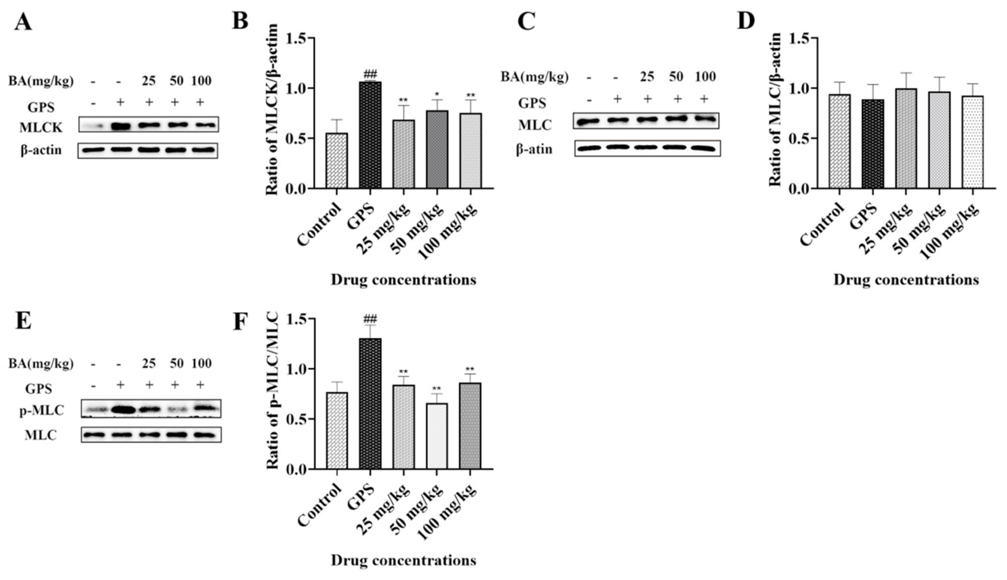 Microbiolres 14 00074 g005