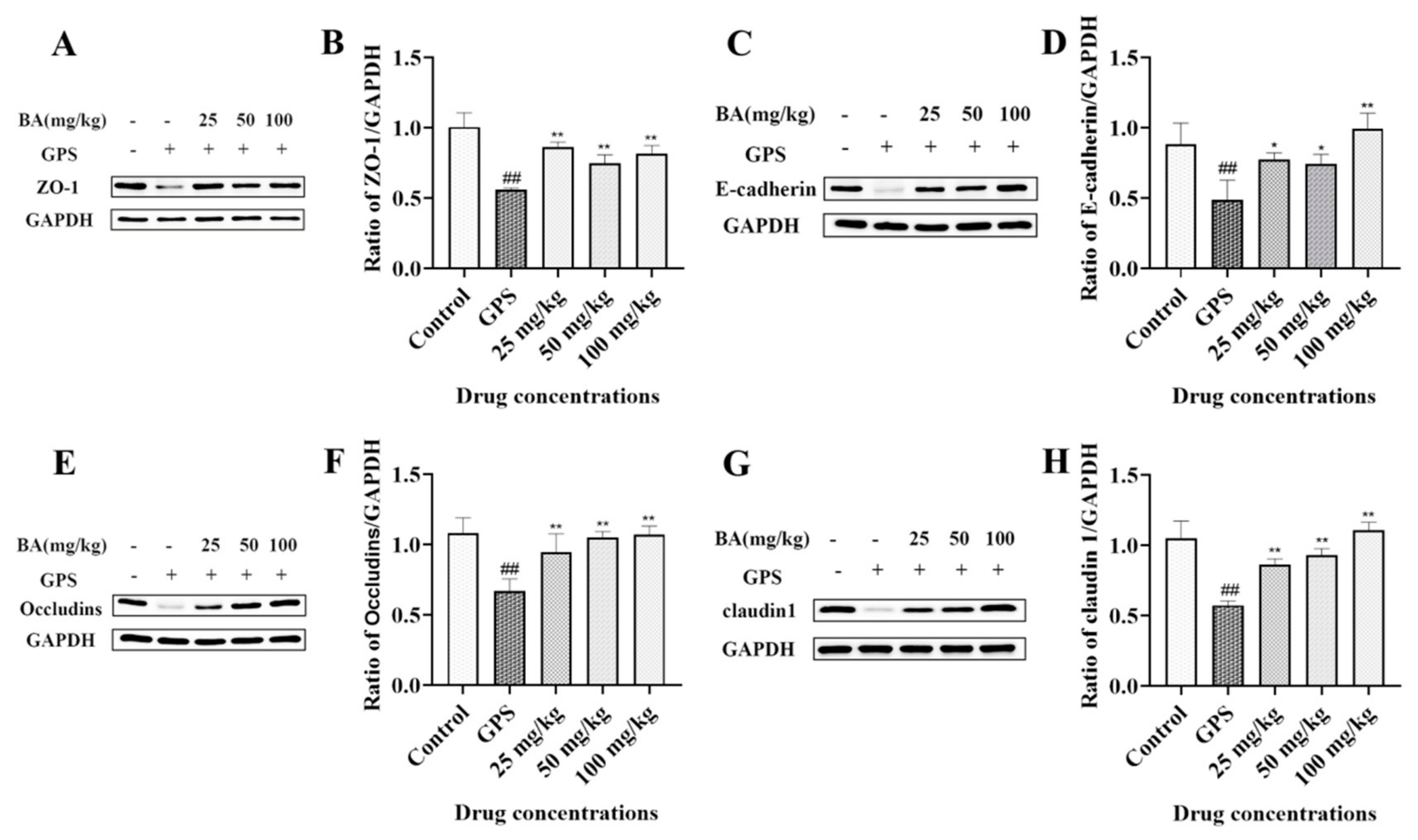 Microbiolres 14 00074 g006