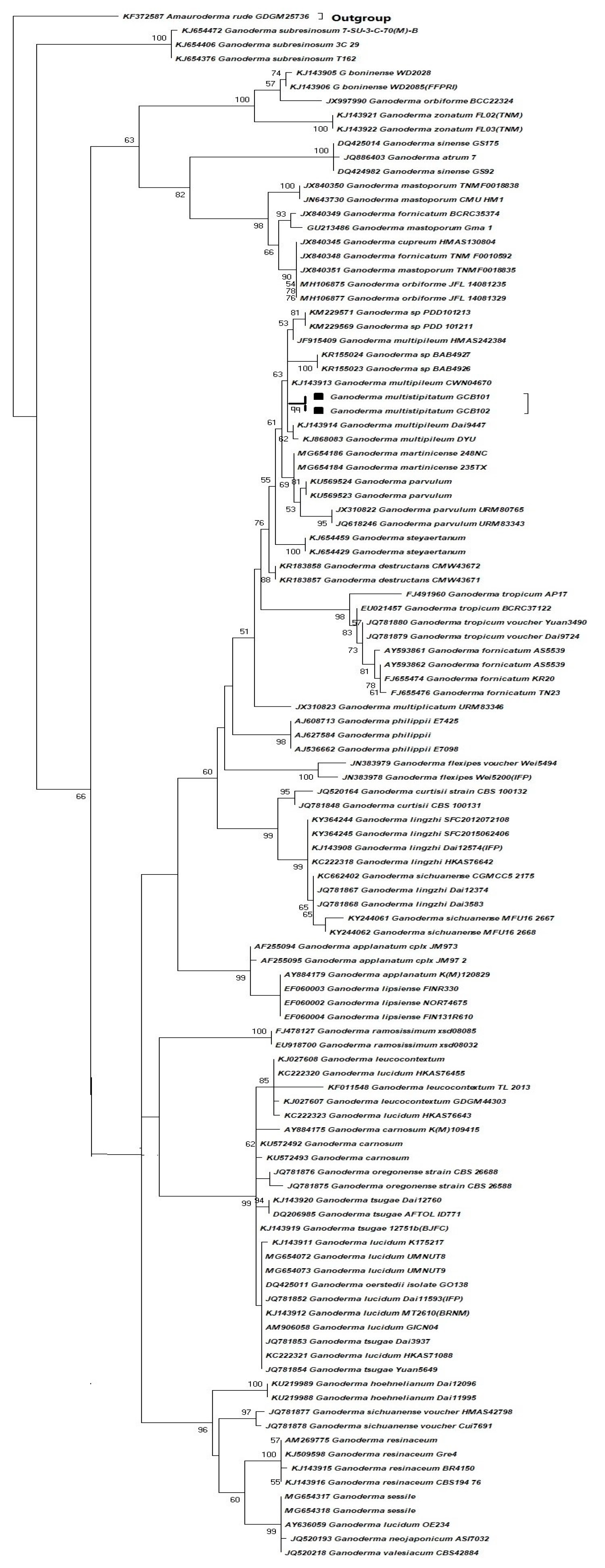 Microbiolres 14 00095 g001 Microbiolres 14 00095 g001