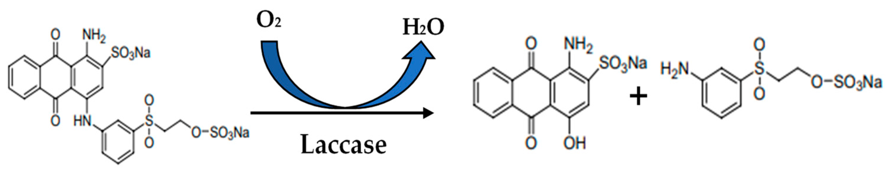 Microbiolres 14 00095 g005a Microbiolres 14 00095 g005a