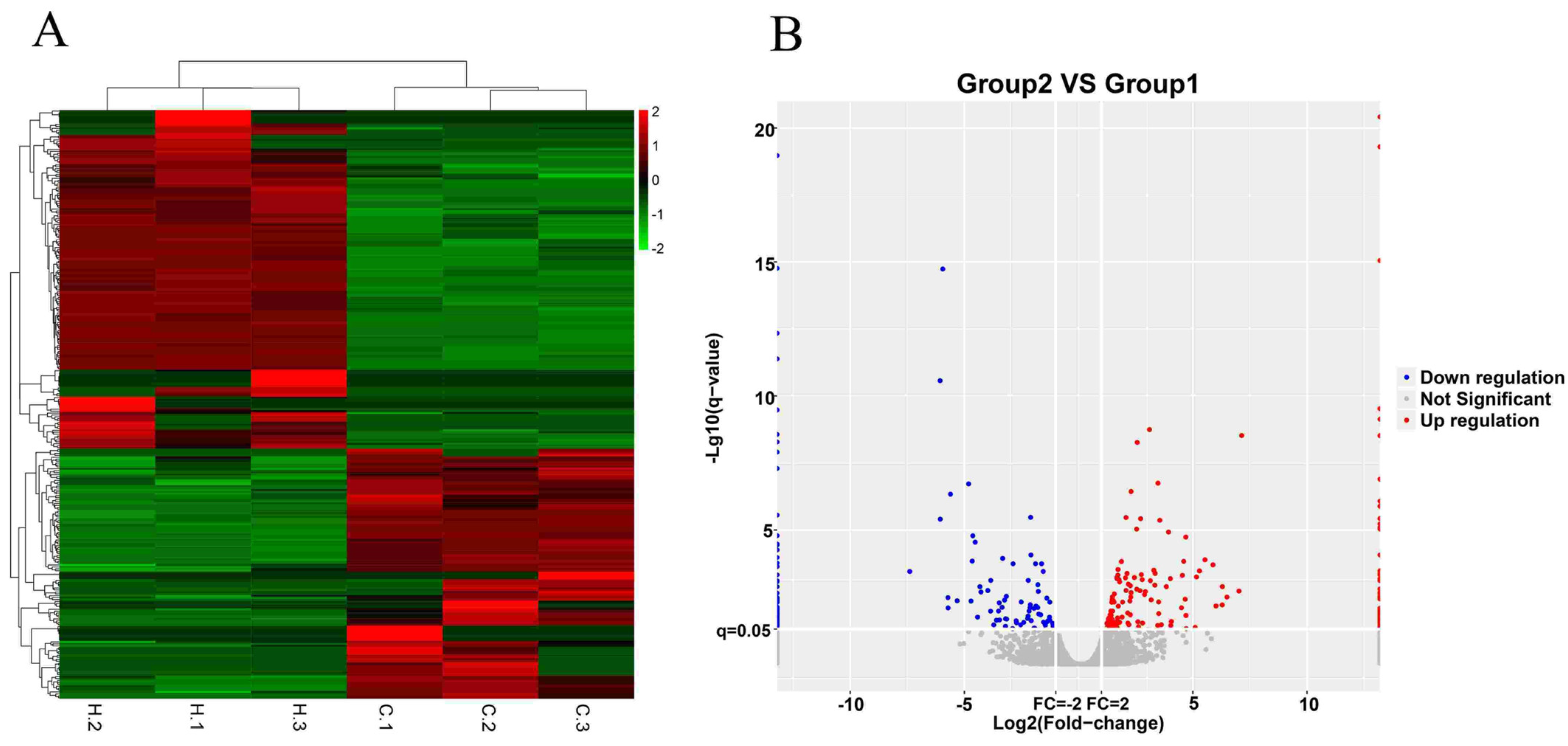 Microbiolres 14 00097 g001