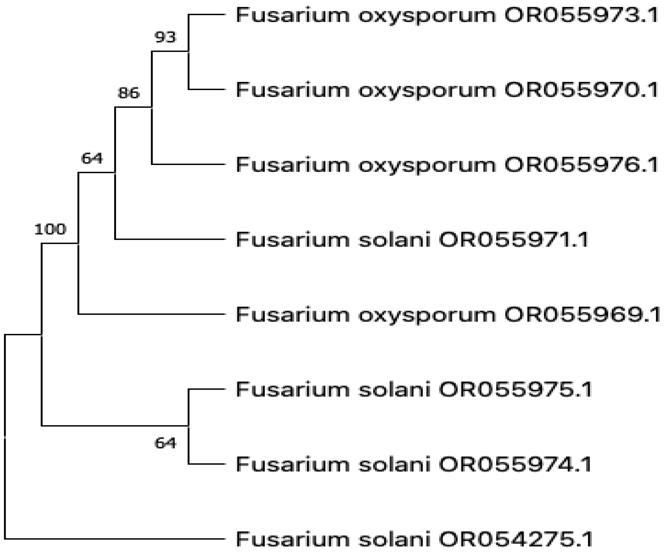 Microbiolres 14 00100 g005