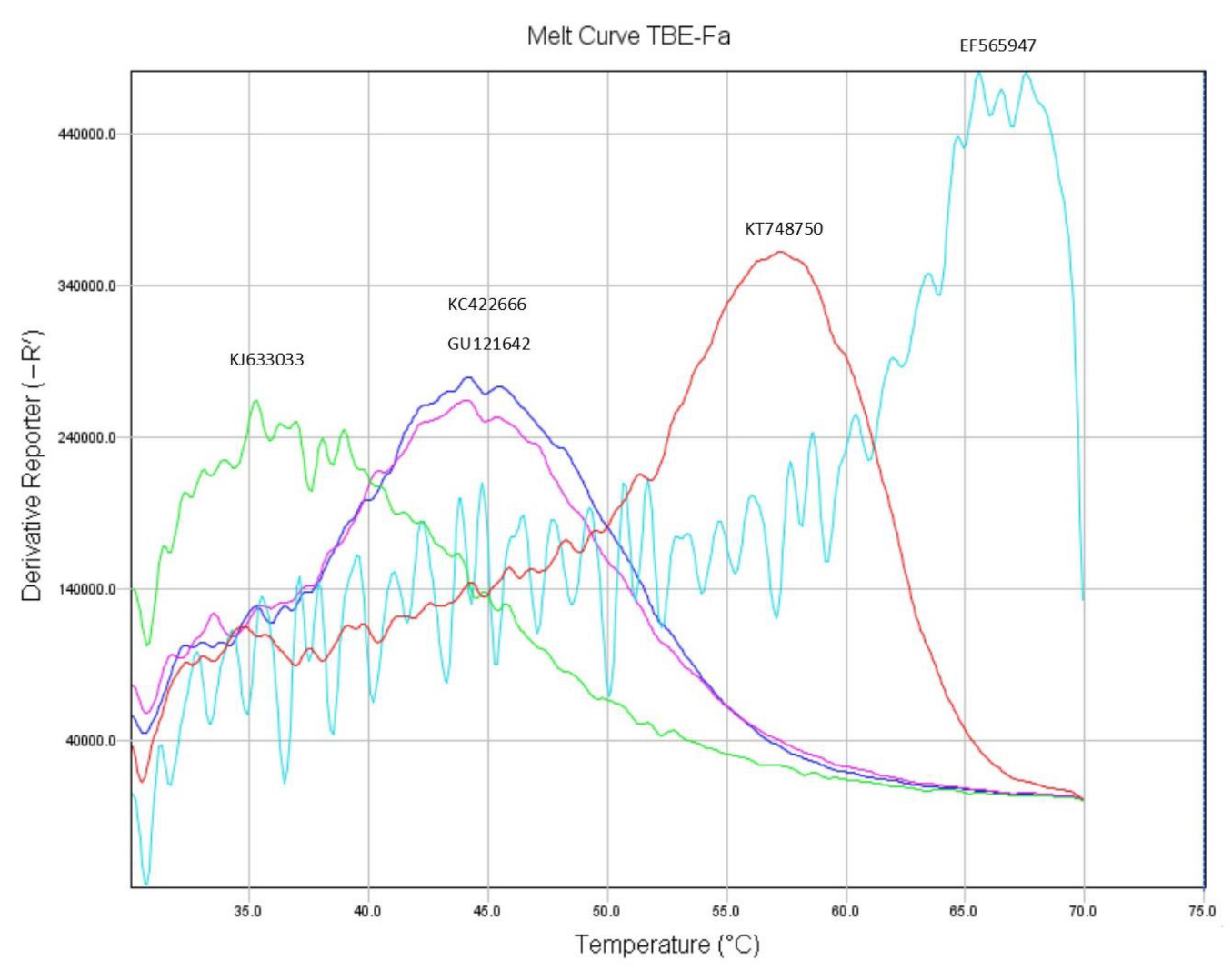Microbiolres 14 00106 g001