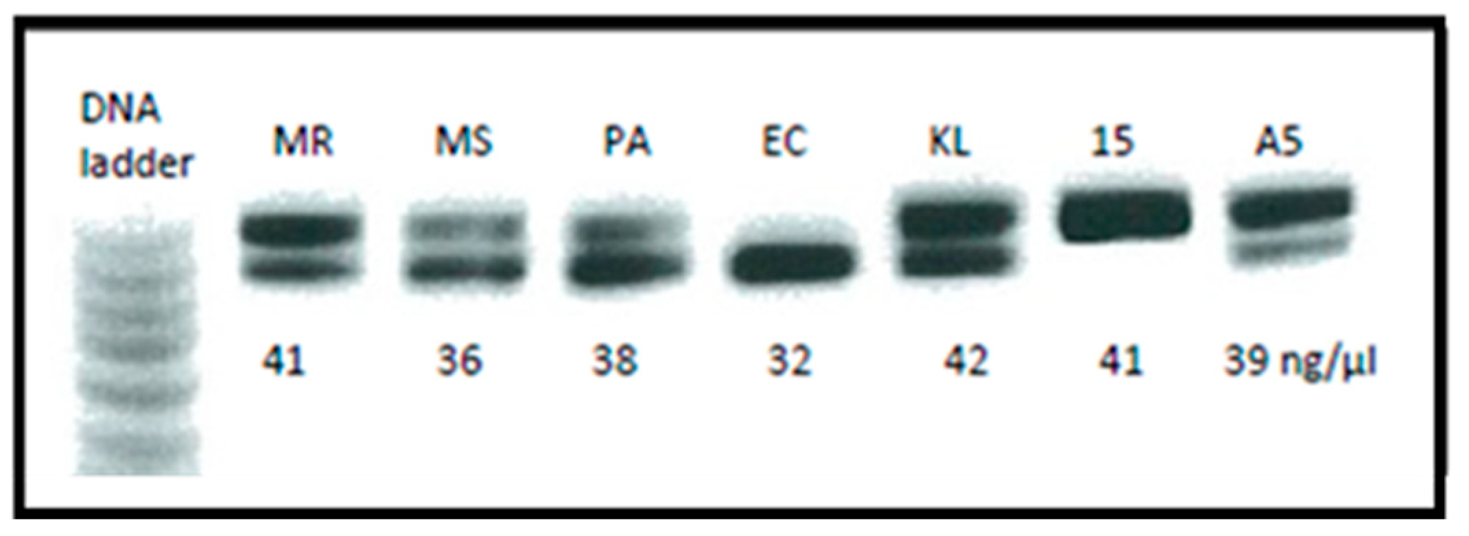 Microbiolres 14 00112 g004
