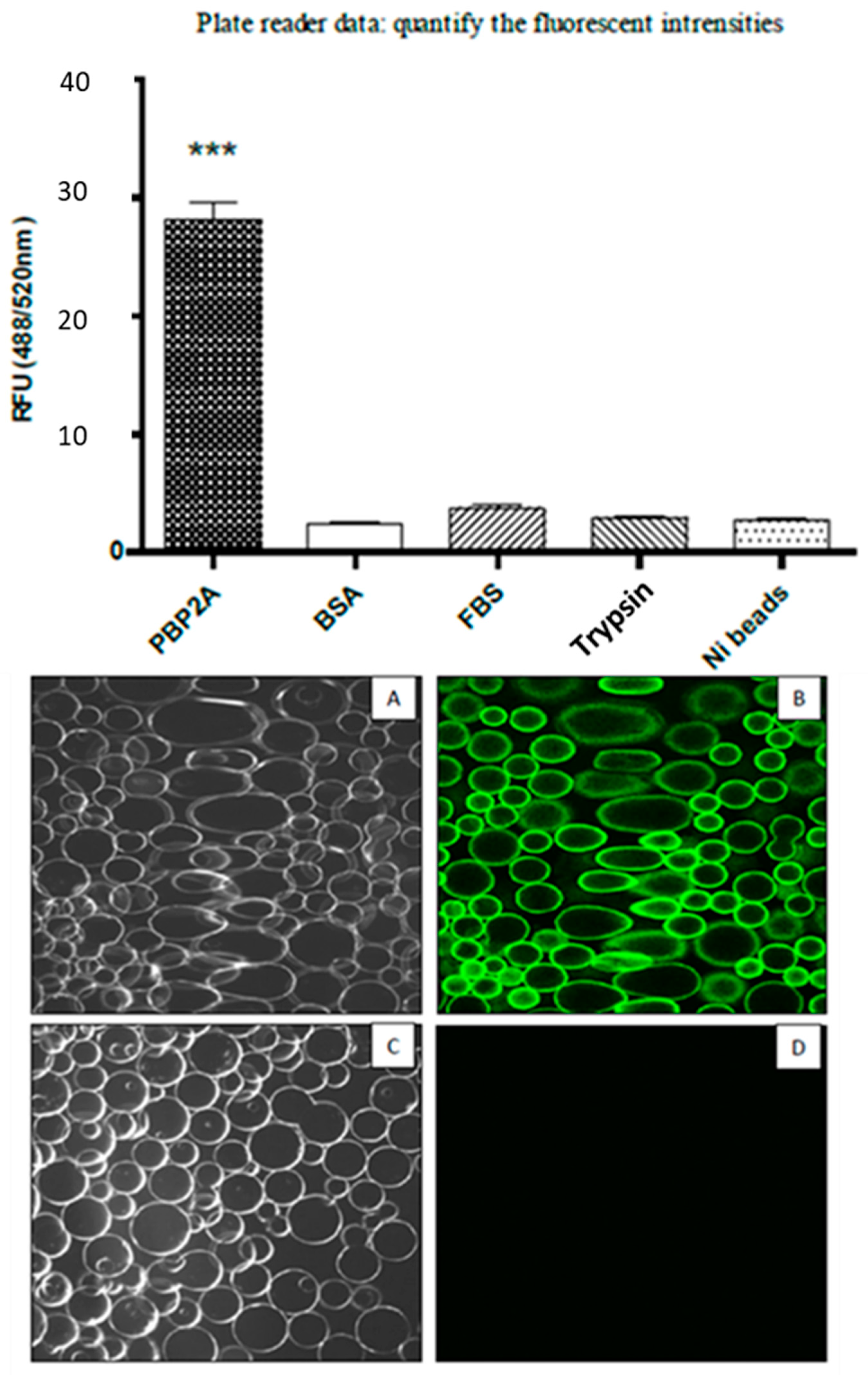 Microbiolres 14 00112 g006