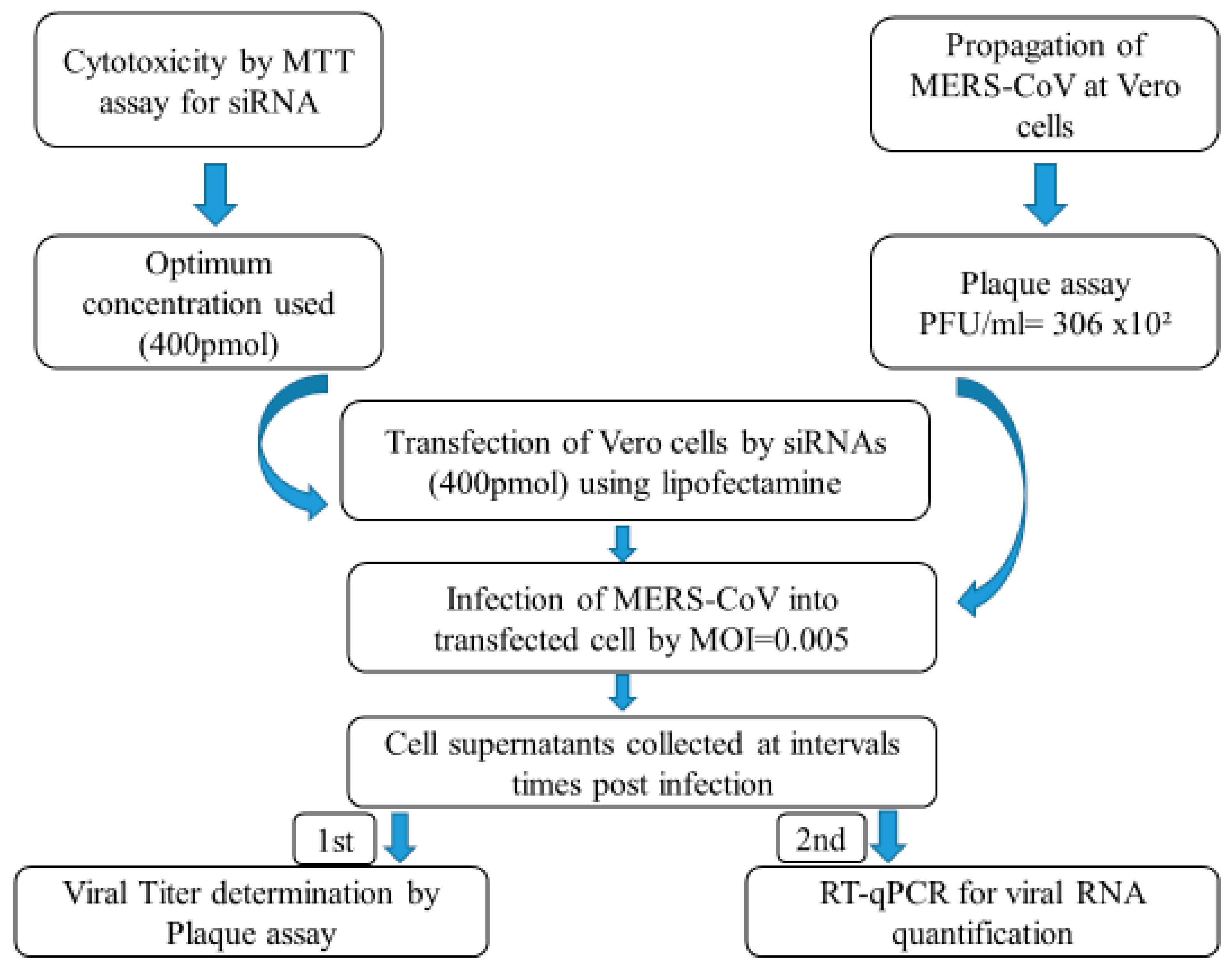 Microbiolres 14 00116 g002