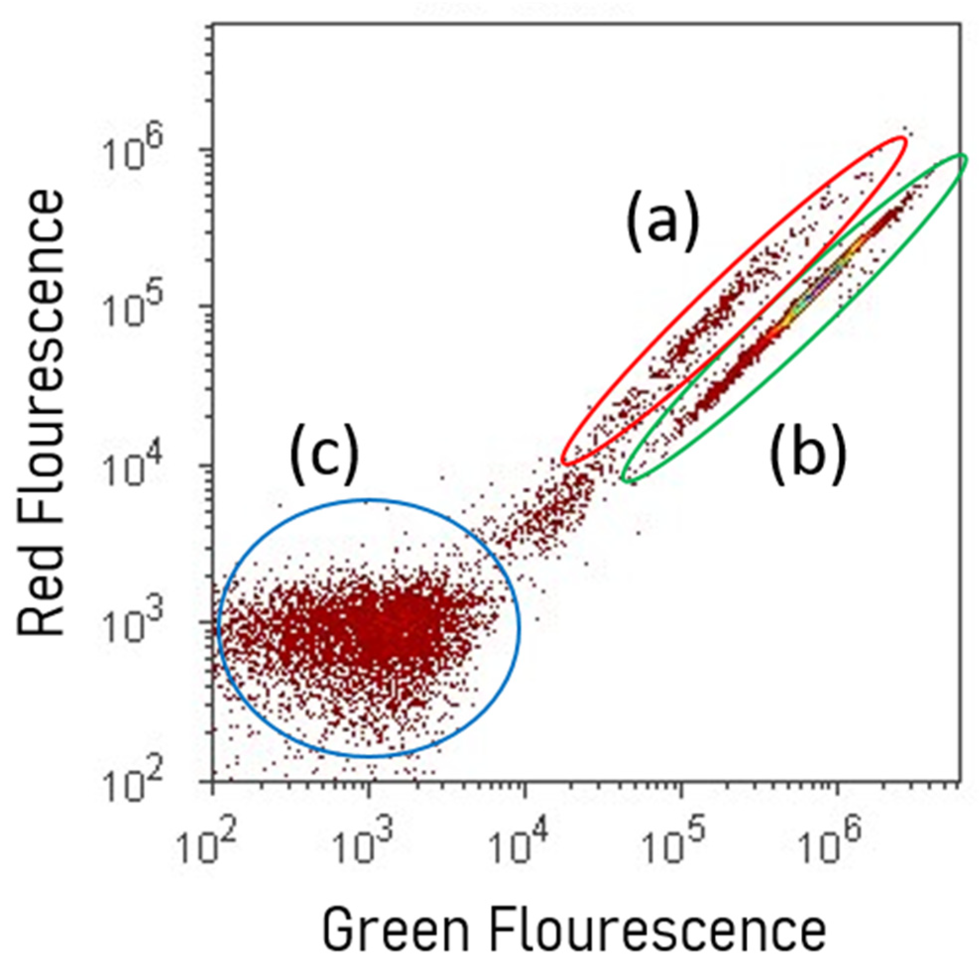 Microbiolres 14 00124 g002 Microbiolres 14 00124 g002