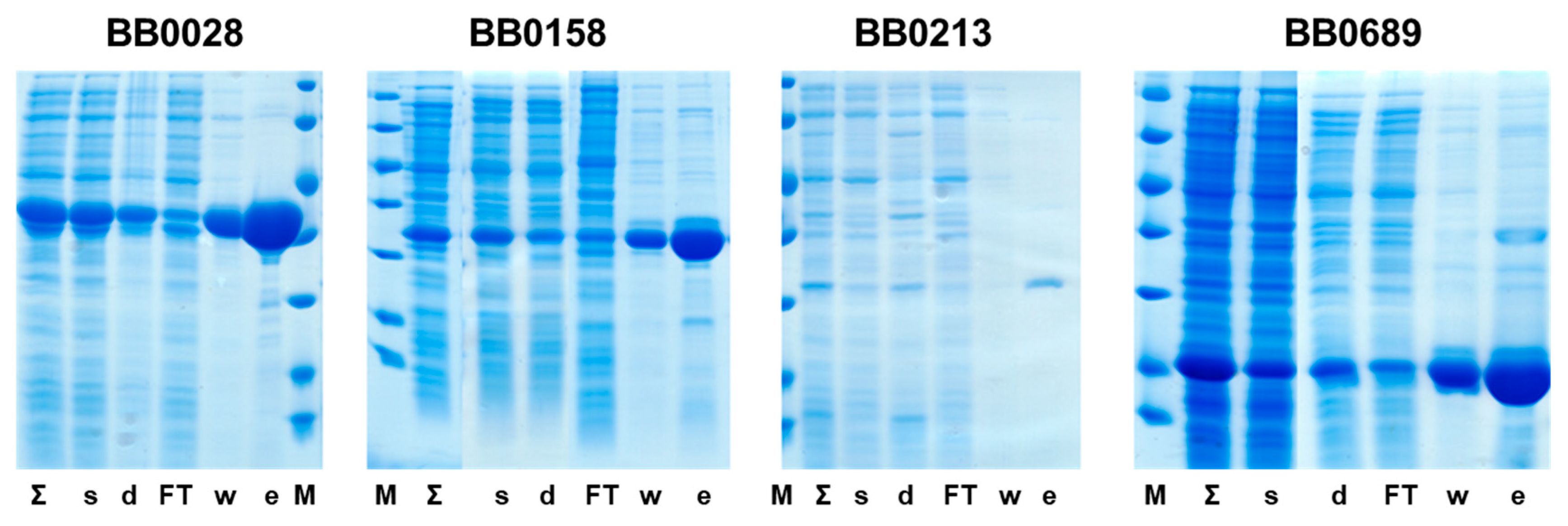 Microbiolres 14 00136 g002