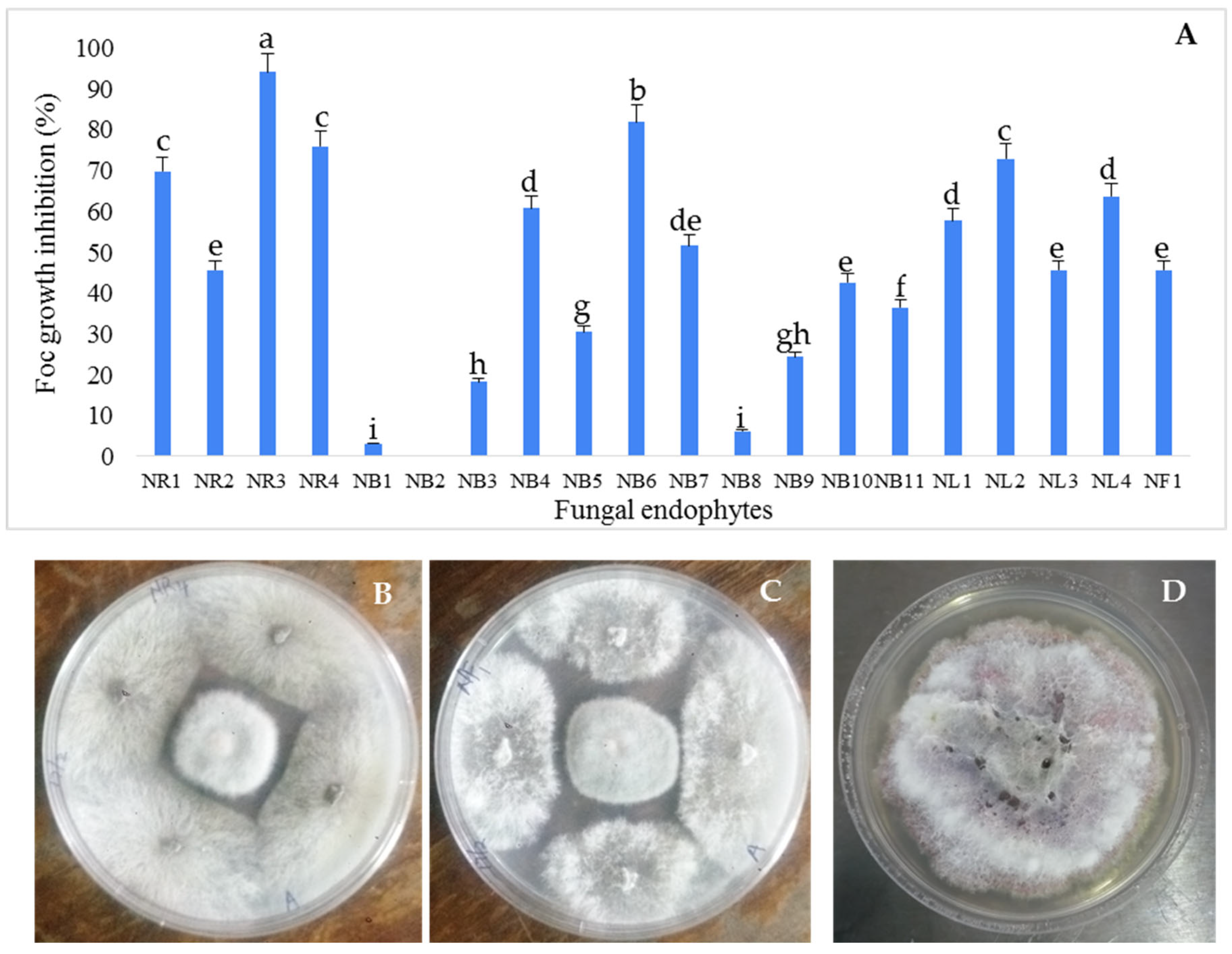 Microbiolres 14 00143 g002 Microbiolres 14 00143 g002