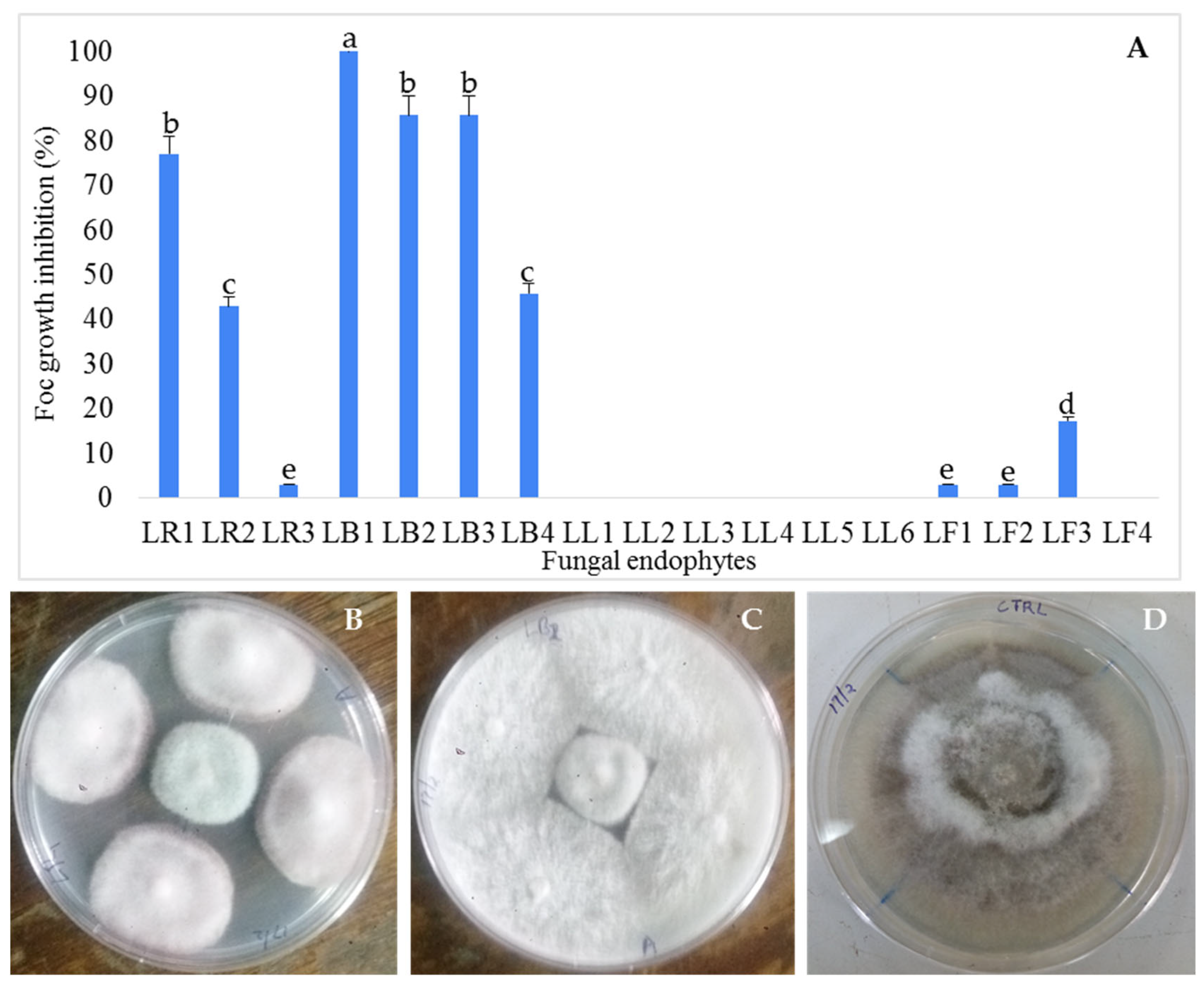 Microbiolres 14 00143 g003 Microbiolres 14 00143 g003