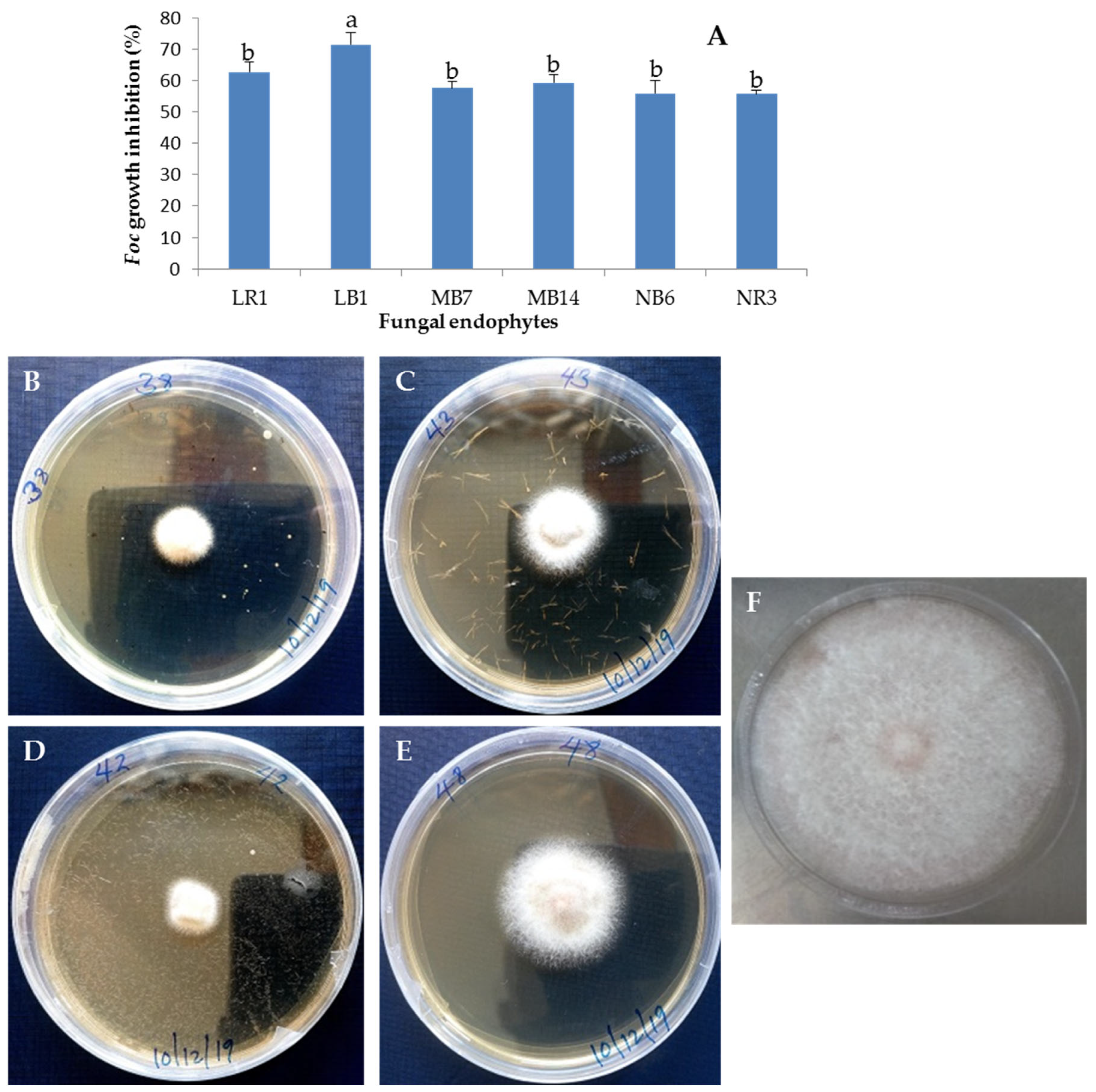 Microbiolres 14 00143 g005 Microbiolres 14 00143 g005