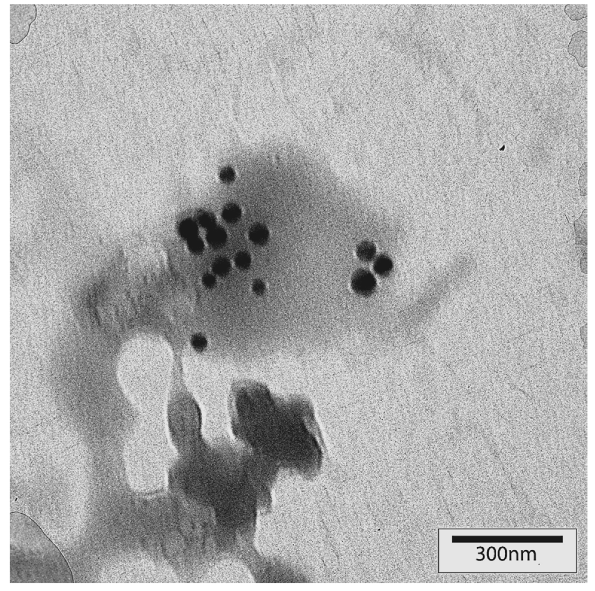 Microbiolres 14 00144 g005