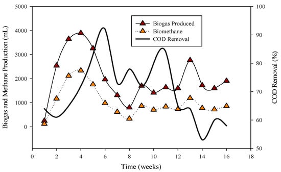 Microbiology Research Free Full Text Biogas Dynamics and