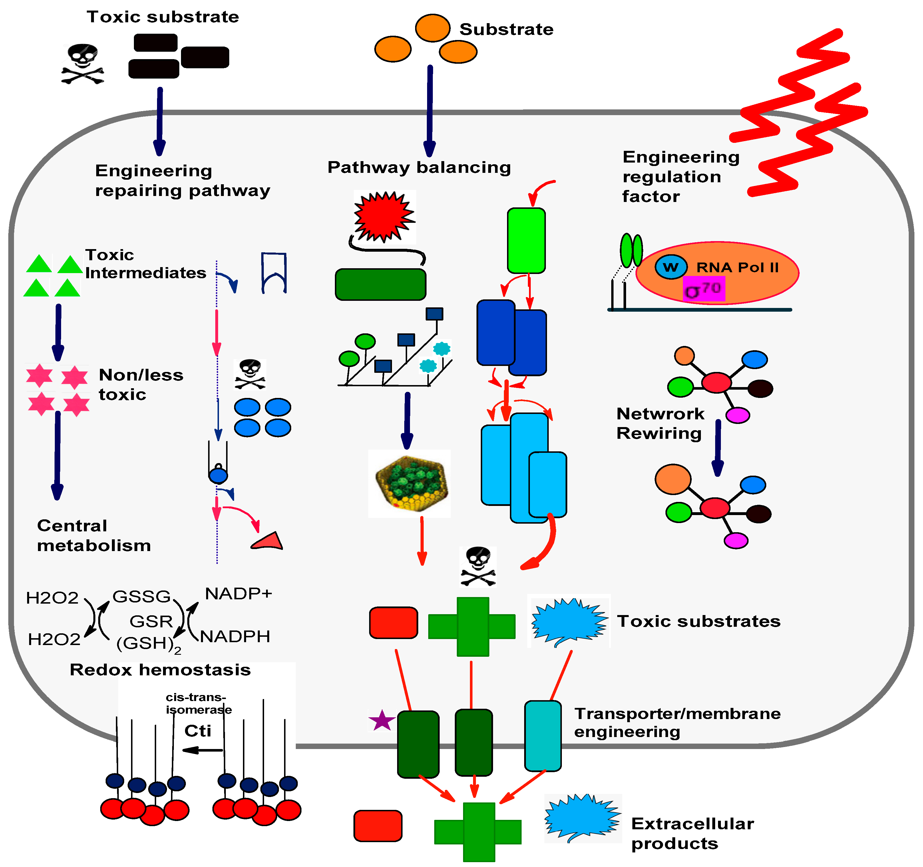 Microbiolres 15 00018 g003
