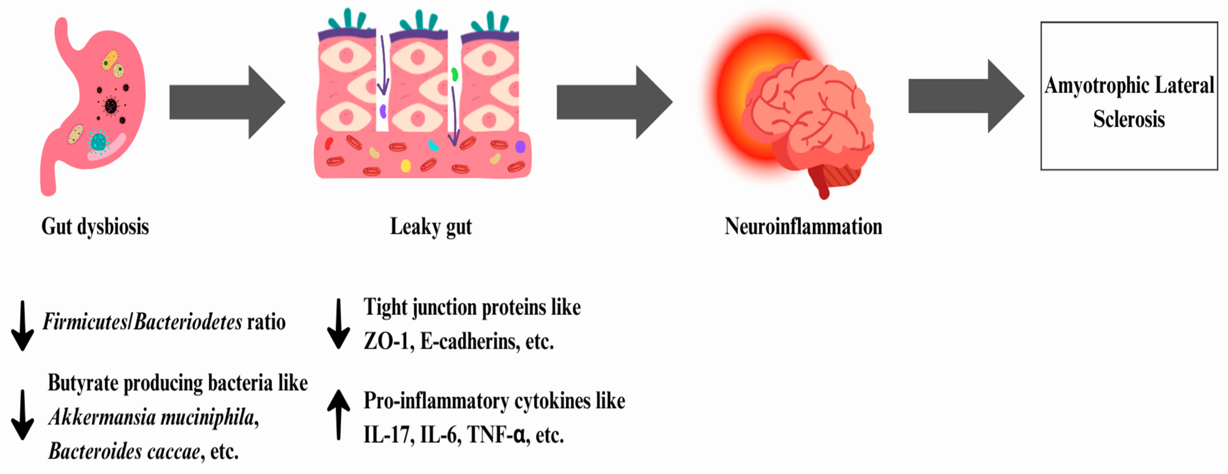 Microbiolres 15 00033 g004