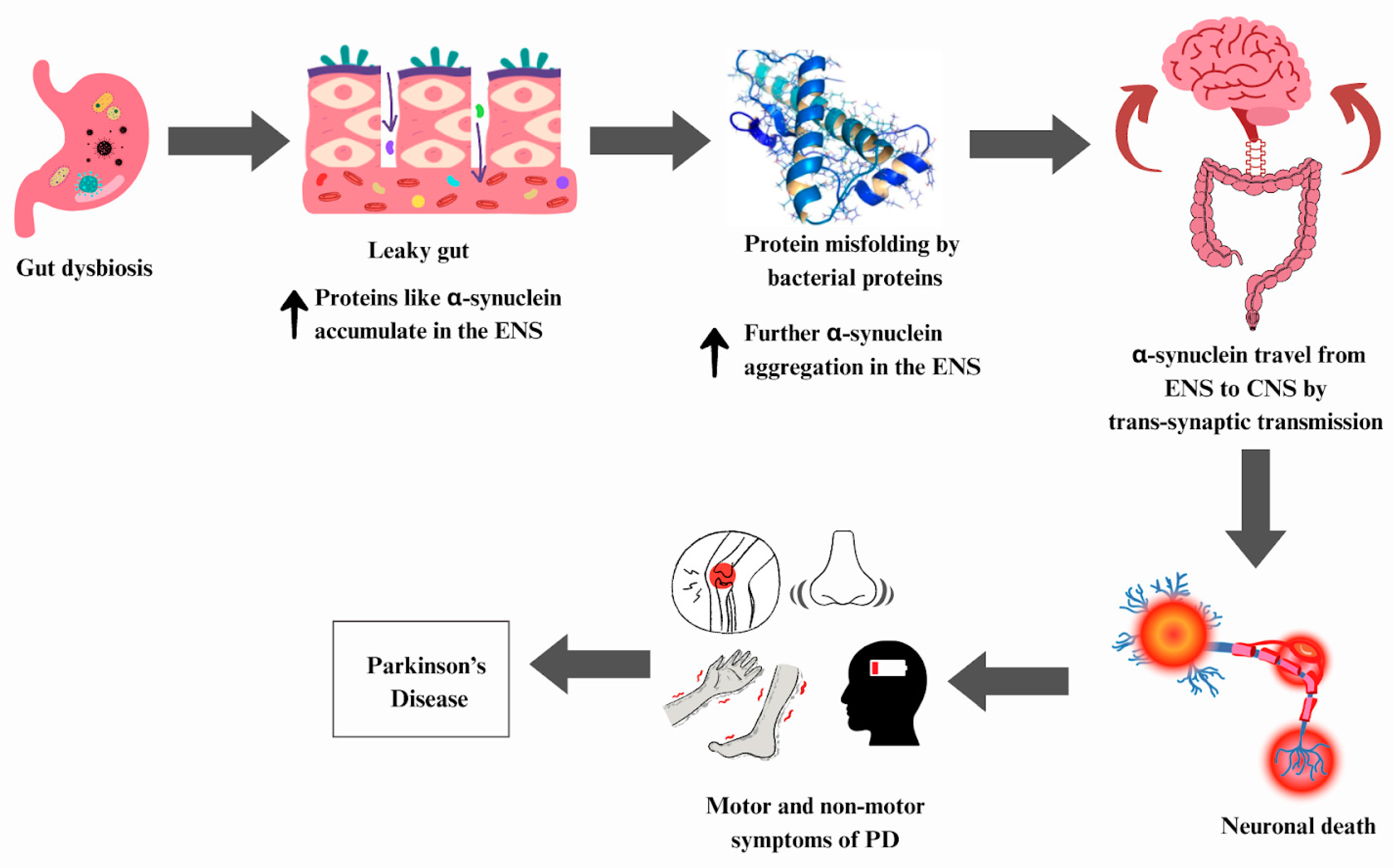 Microbiolres 15 00033 g007