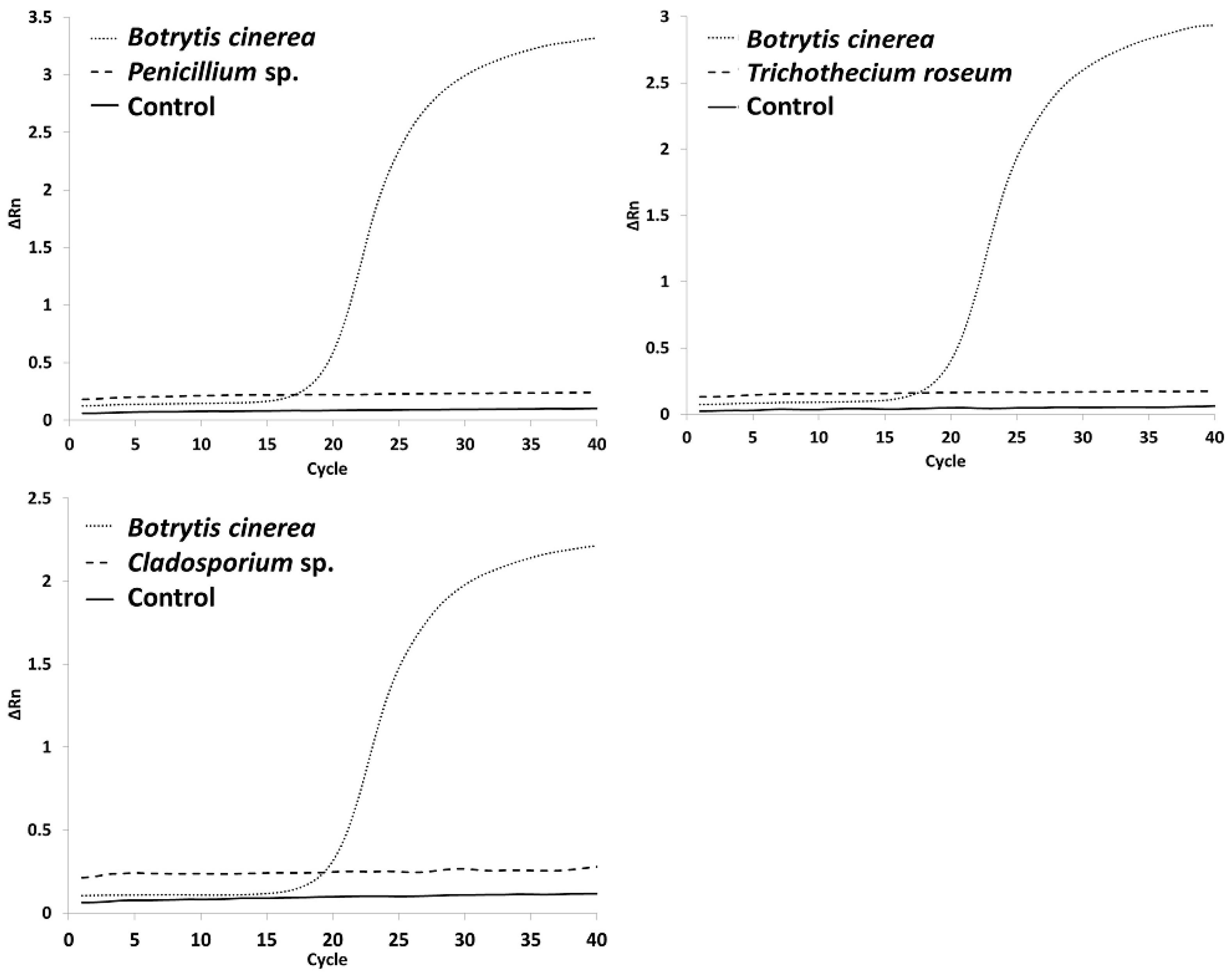 Microbiolres 15 00037 g001