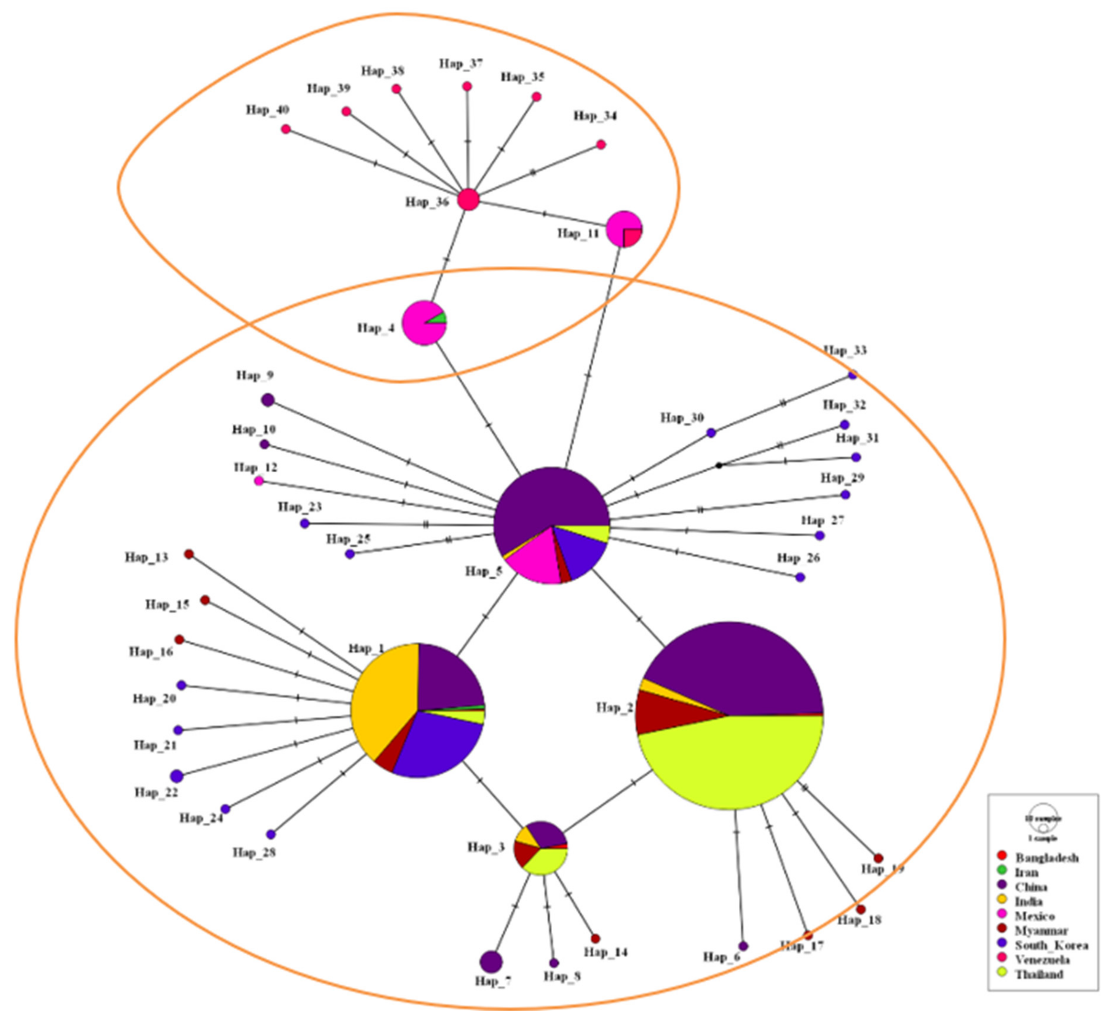Microbiolres 15 00045 g003