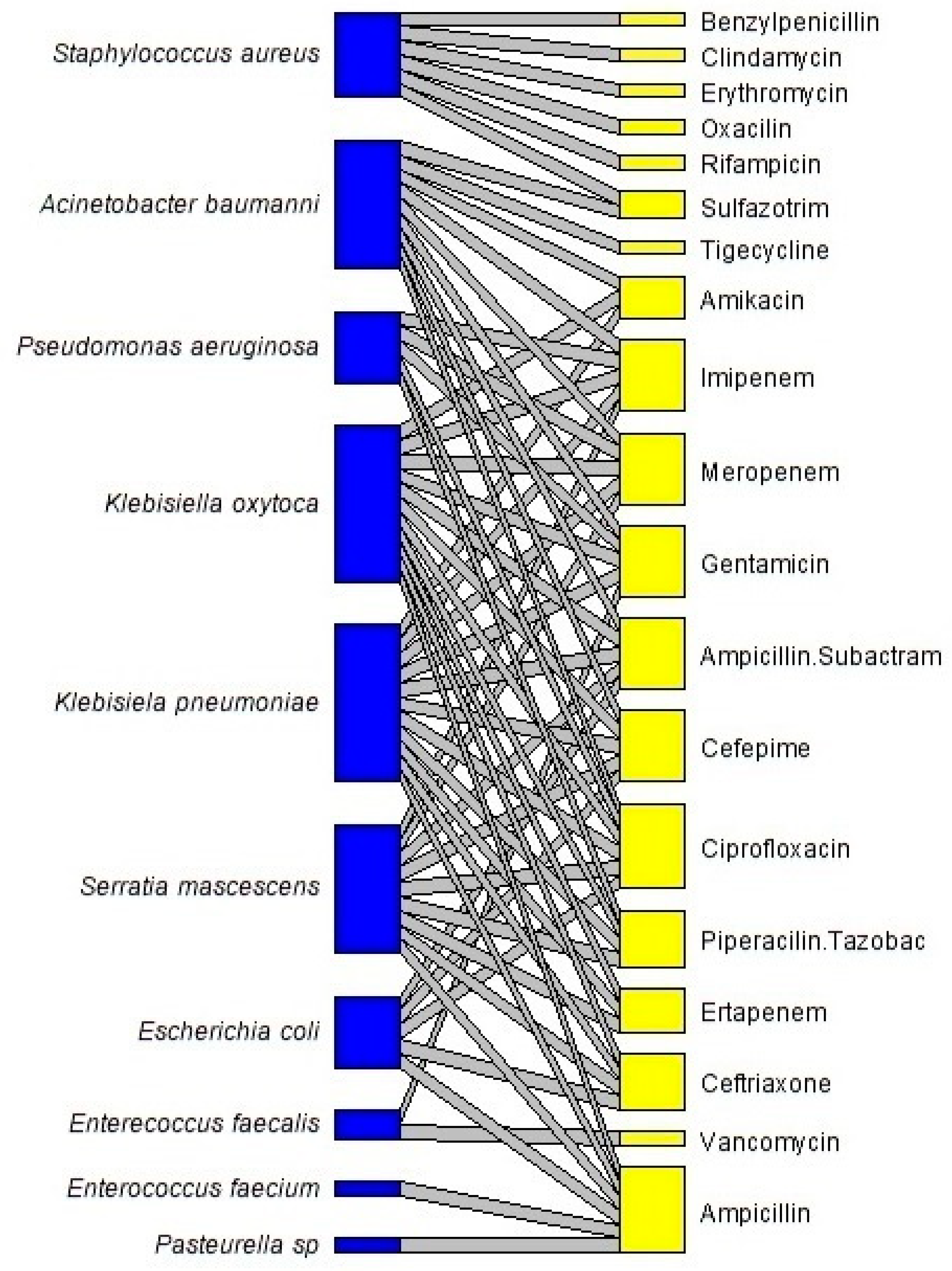 Microbiolres 15 00076 g001 Microbiolres 15 00076 g001