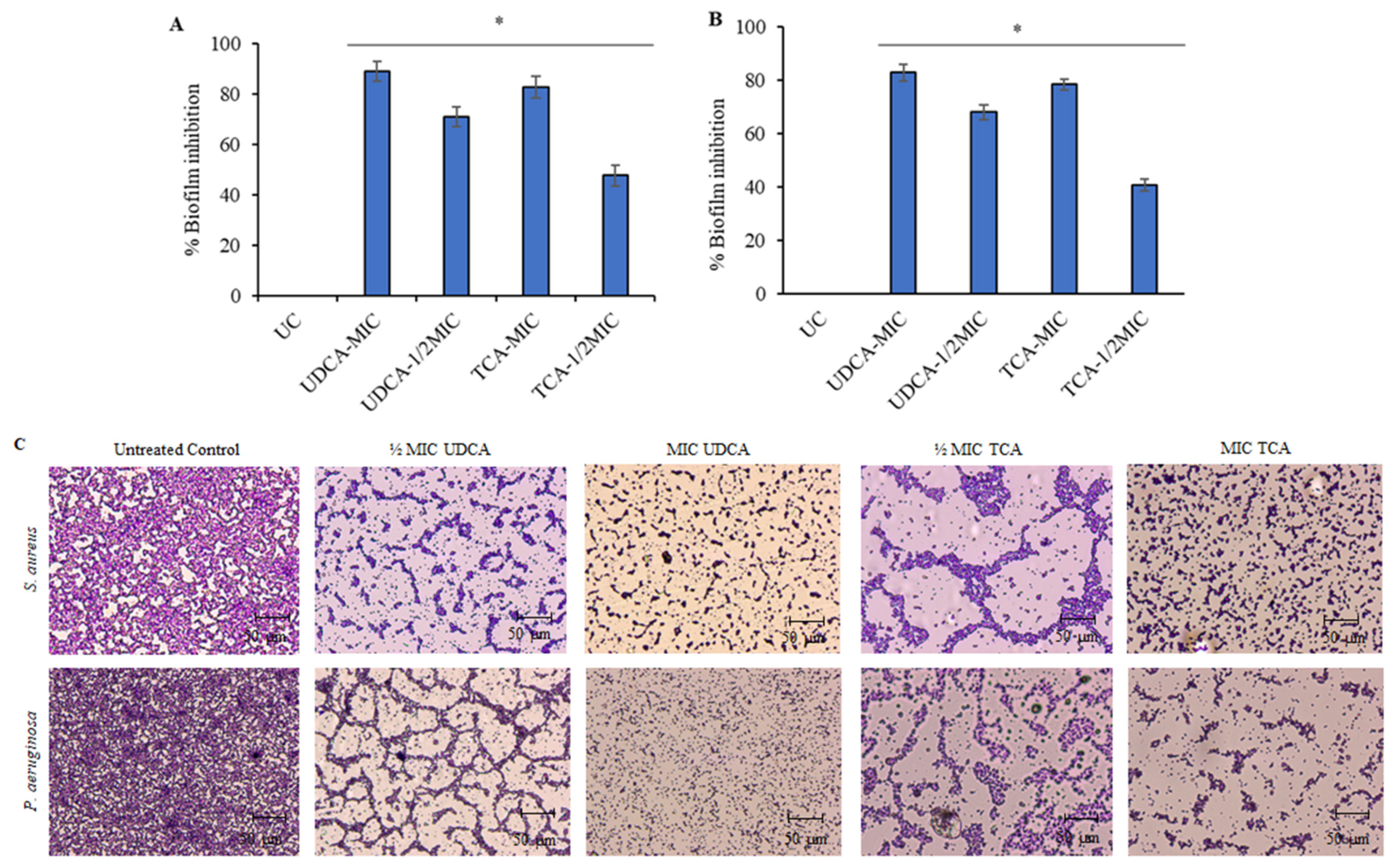 Microbiolres 15 00085 g002