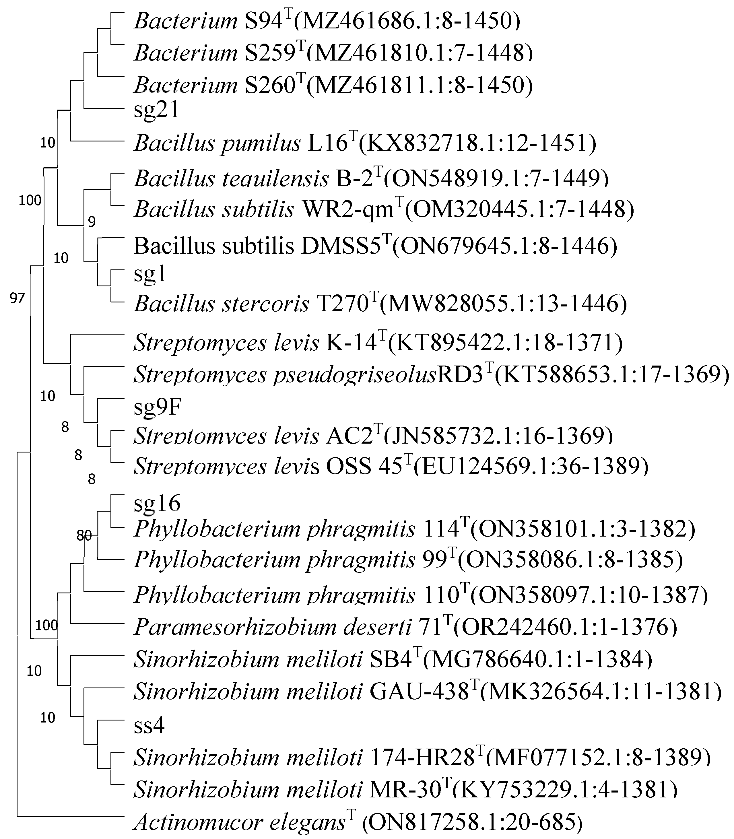 Microbiolres 15 00091 g006